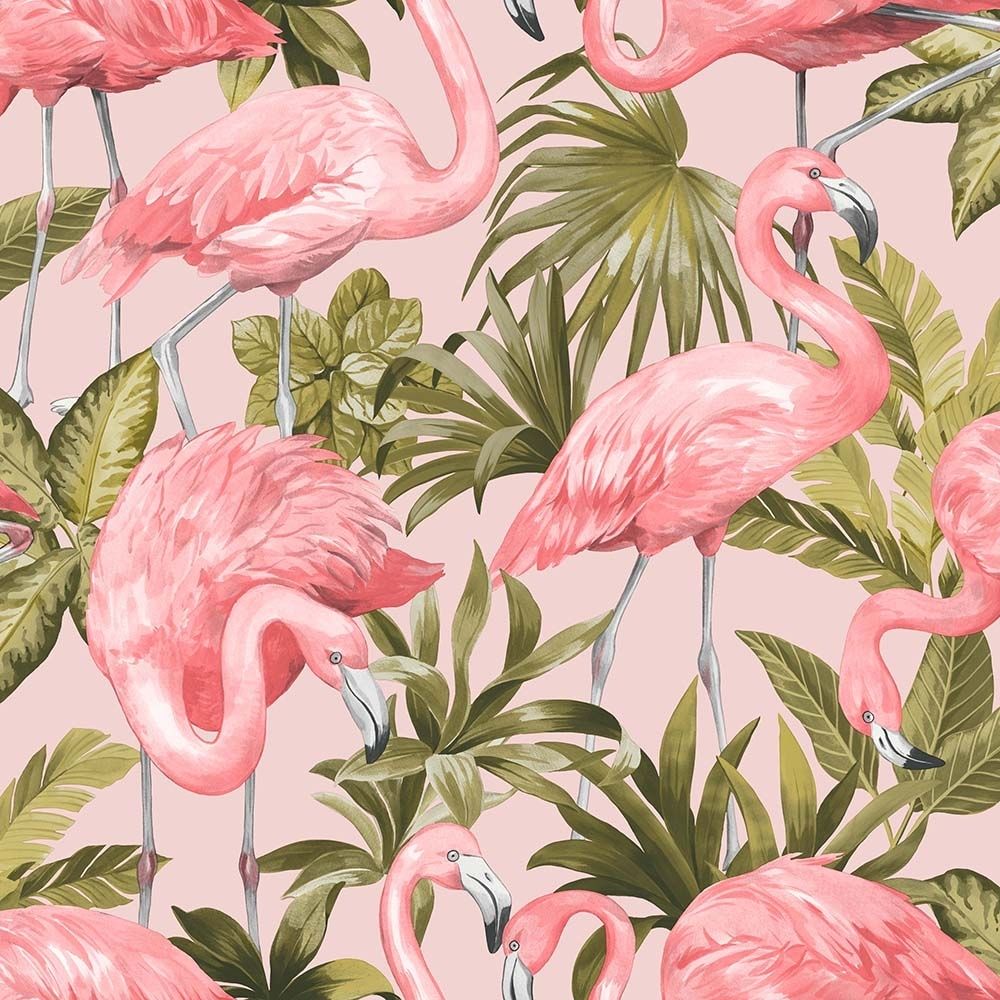  Flamingo Hintergrundbild 1000x1000. Flamingo wallpaper in blush & pink. I Love Wallpaper