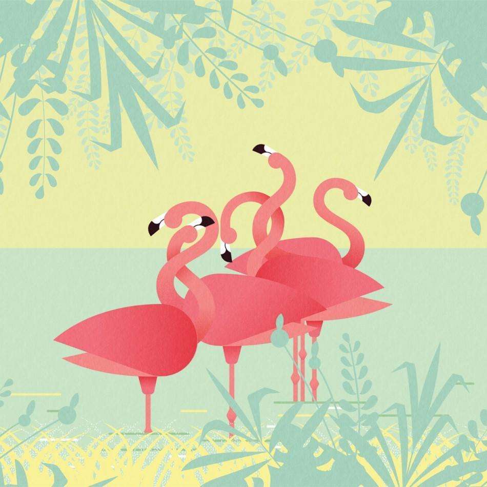  Flamingo Hintergrundbild 950x950. Flamingos Tapete Von LondonArt Wallpaper