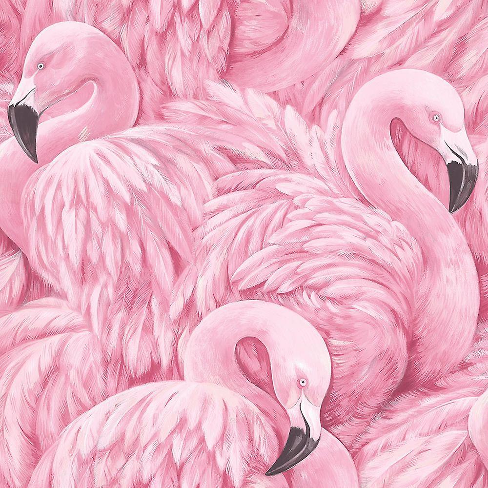  Flamingo Hintergrundbild 1000x1000. Rosa Flamingo Wallpaper Animal Print moderner Vögel Federn Luxus Rasch