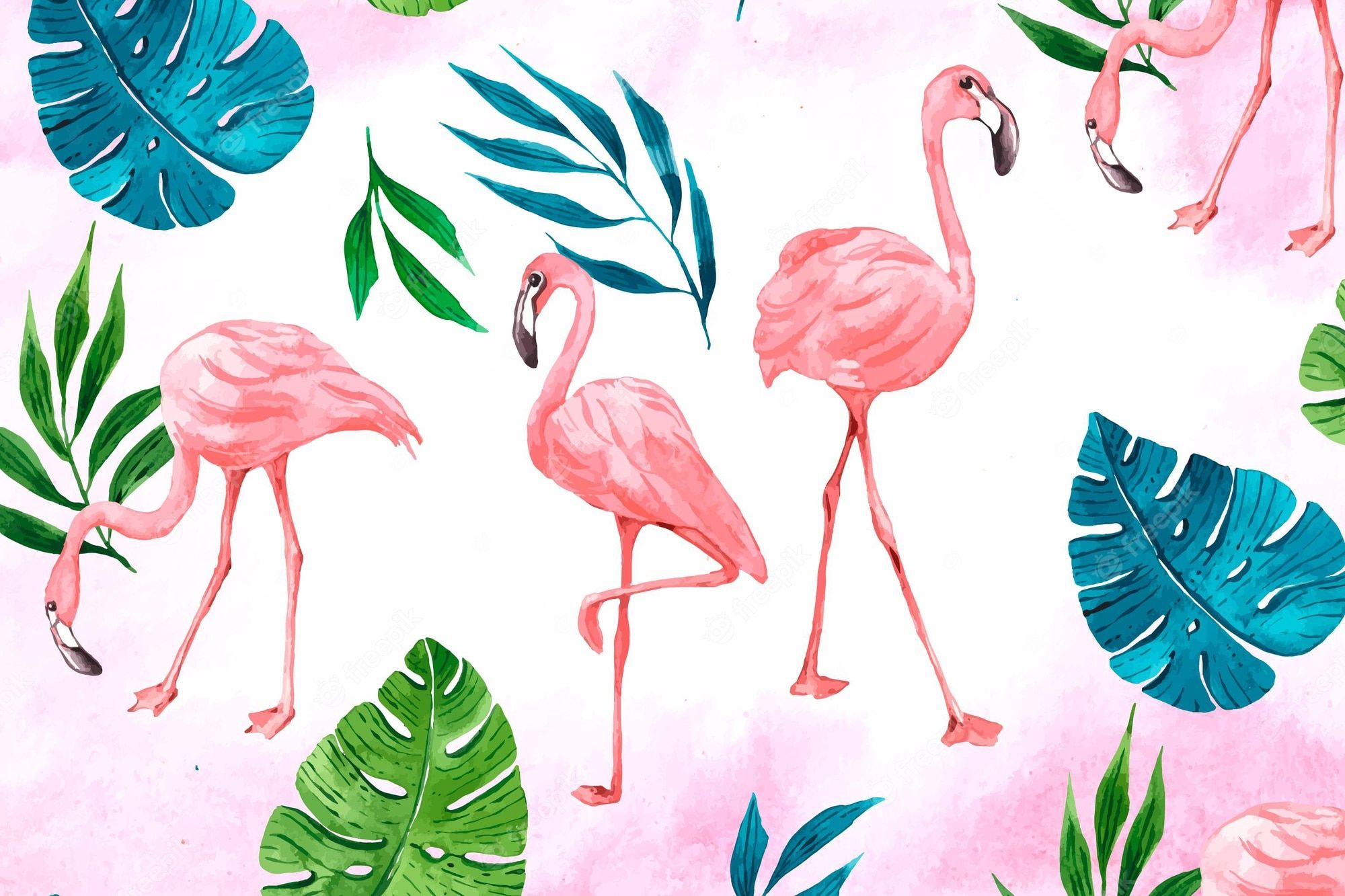  Flamingo Hintergrundbild 2000x1333. Flamingo Wallpaper Bilder Download auf Freepik
