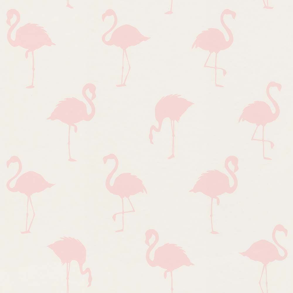  Flamingo Hintergrundbild 1000x1000. Wallpaper child Flamingos white pink 138918