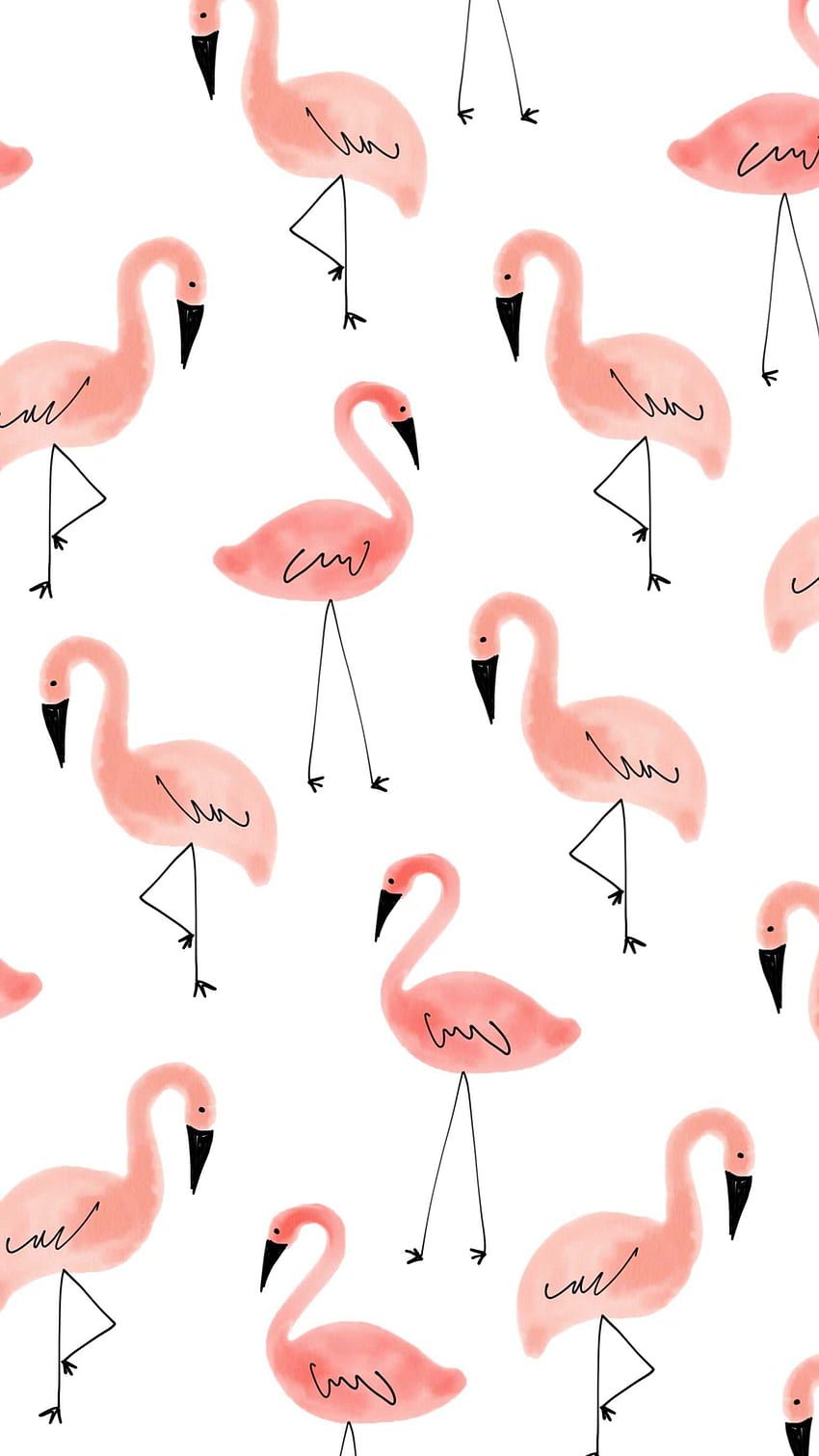  Flamingo Hintergrundbild 850x1511. Flamingo, Pink Flamingo Laptop HD phone wallpaper