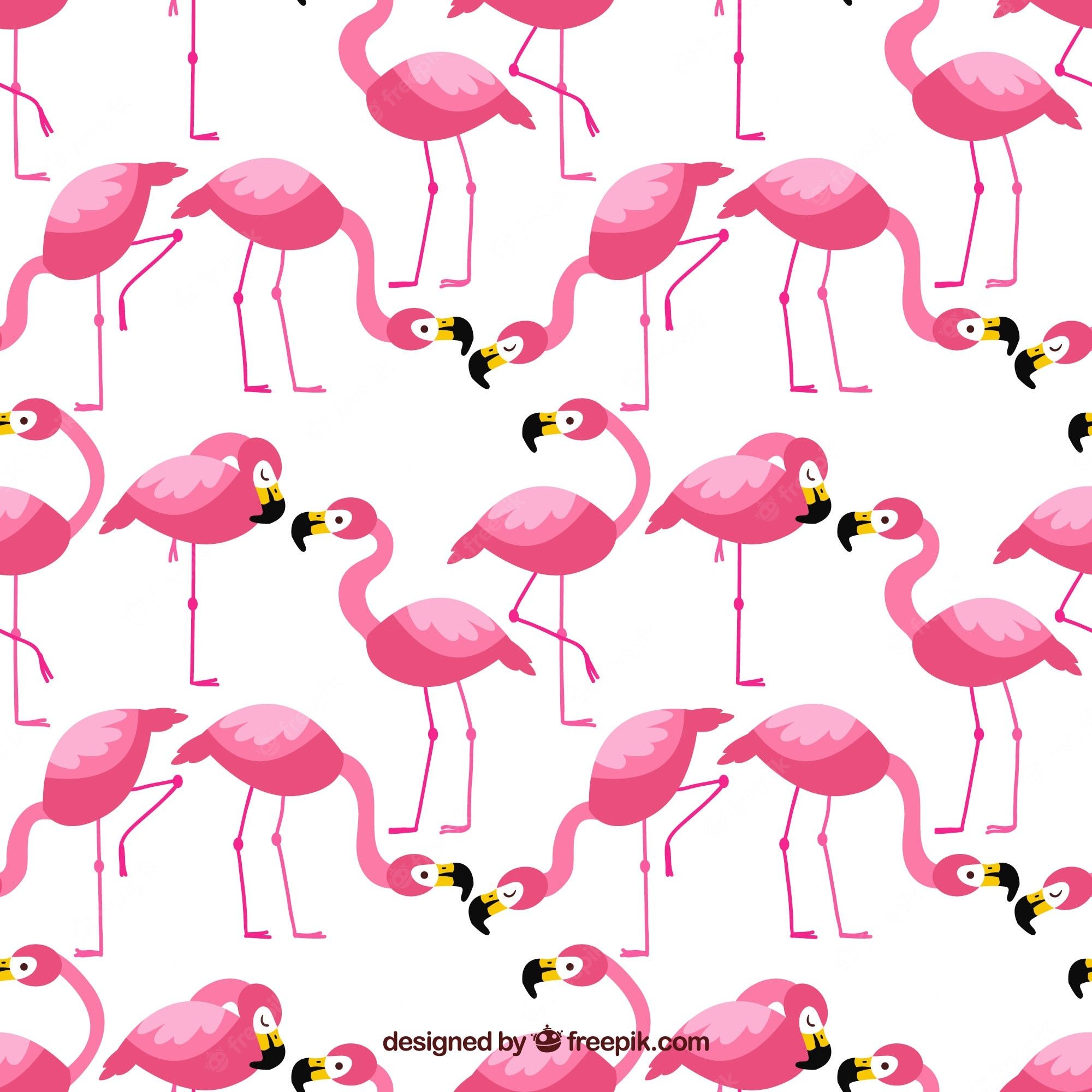  Flamingo Hintergrundbild 2000x2000. Flamingo Wallpaper Bilder Download auf Freepik