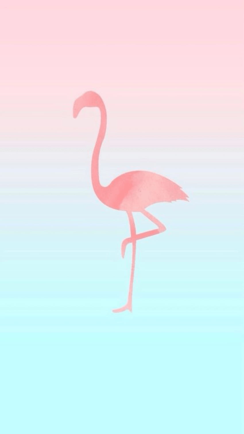  Flamingo Hintergrundbild 850x1511. Cute flamingo HD phone wallpaper