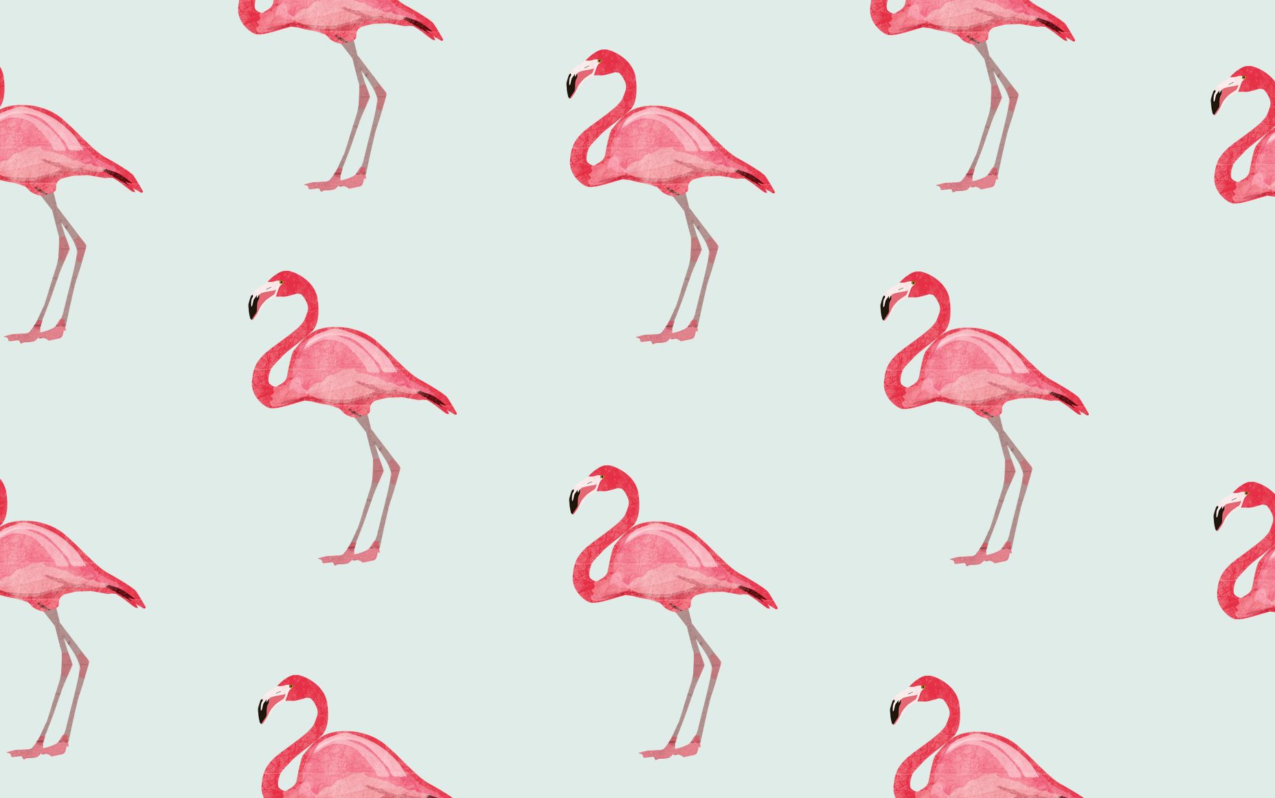  Flamingo Hintergrundbild 1856x1161. Flamingo Desktop Wallpaper