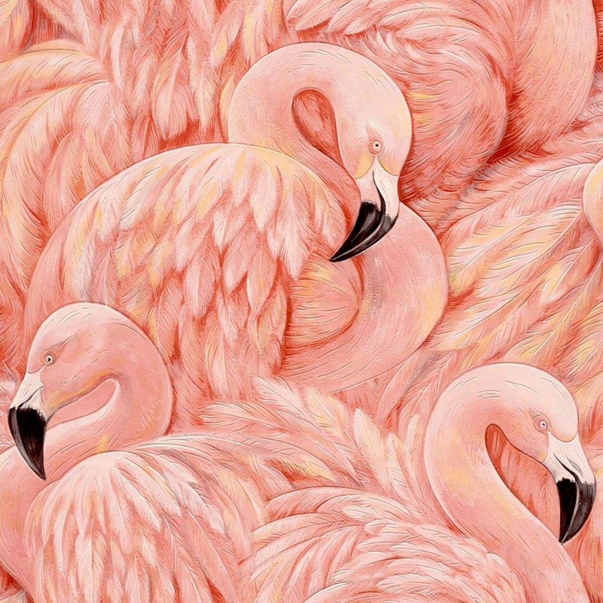  Flamingo Hintergrundbild 2000x2000. Pink Flamingo Textured Vinyl Wallpaper