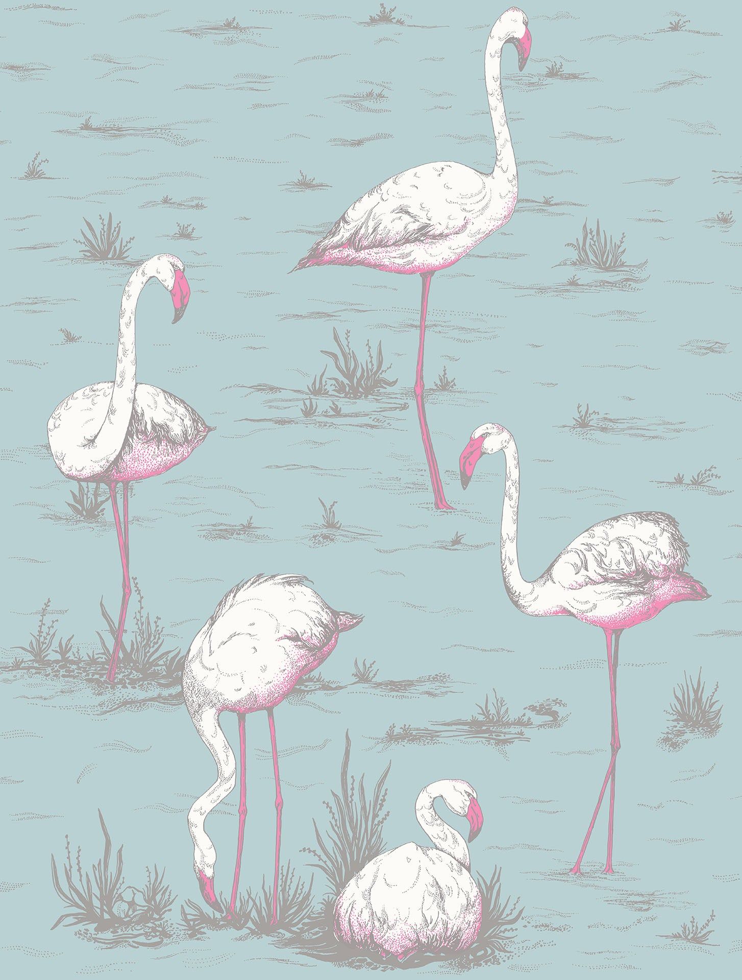  Flamingo Hintergrundbild 1454x1920. Flamingos & Son