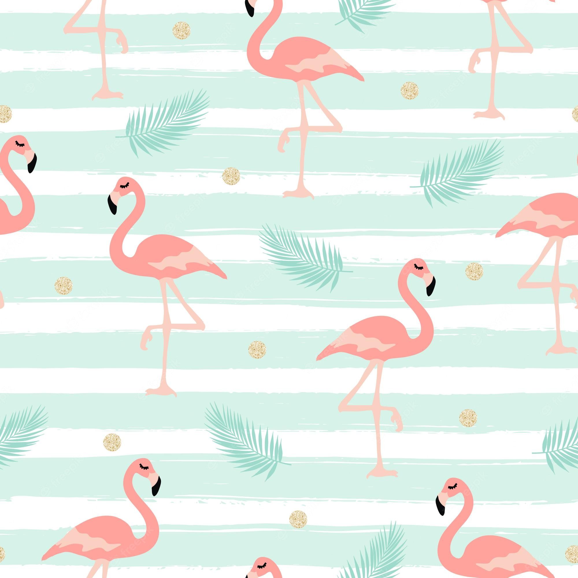  Flamingo Hintergrundbild 2000x2000. Flamingo Background Image
