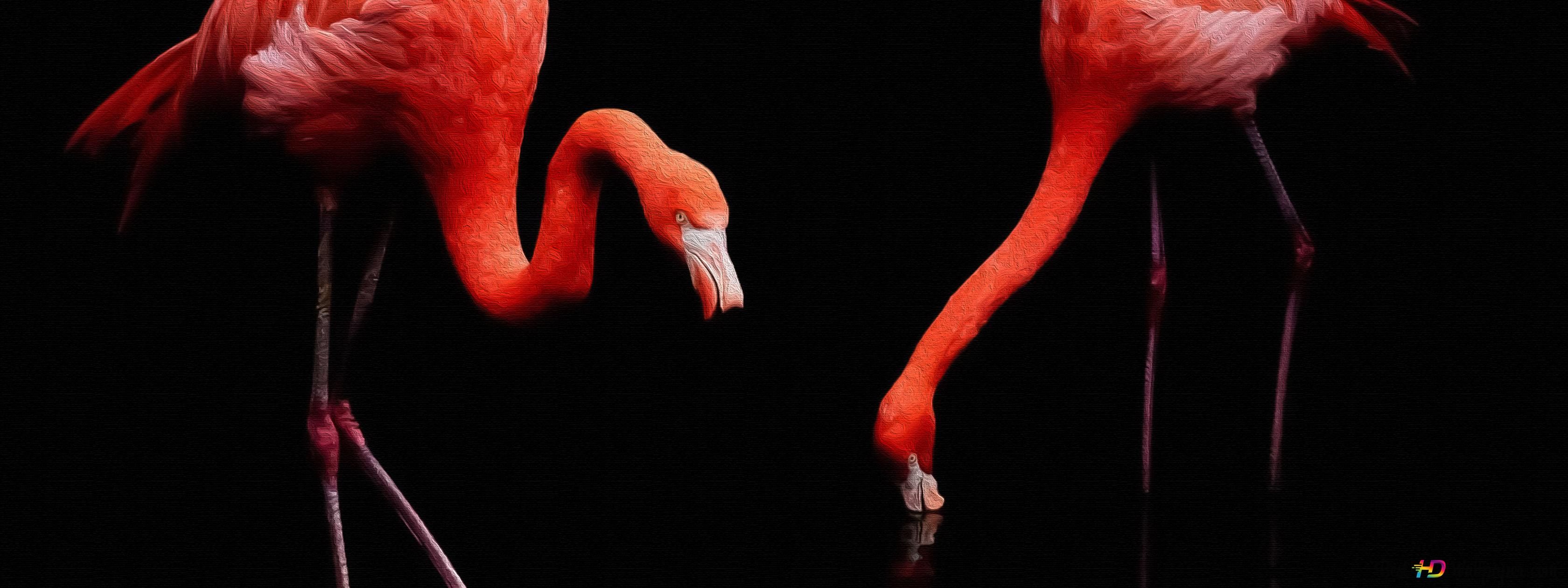  Flamingo Hintergrundbild 3360x1260. Dunkler Flamingo 4K Hintergrundbild herunterladen