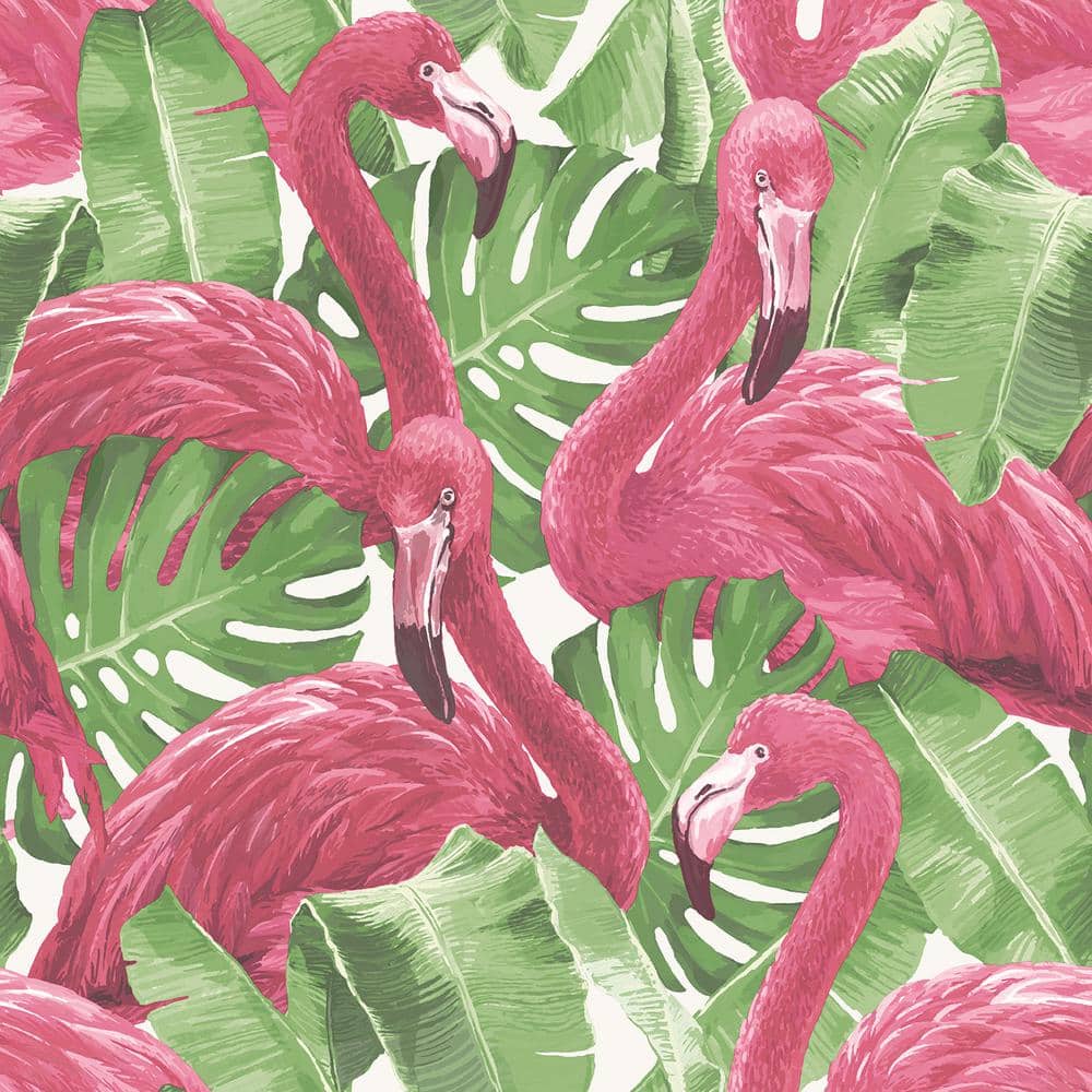  Flamingo Hintergrundbild 1000x1000. Global Fusion Pink Flamingo Wallpaper G56406 Home Depot