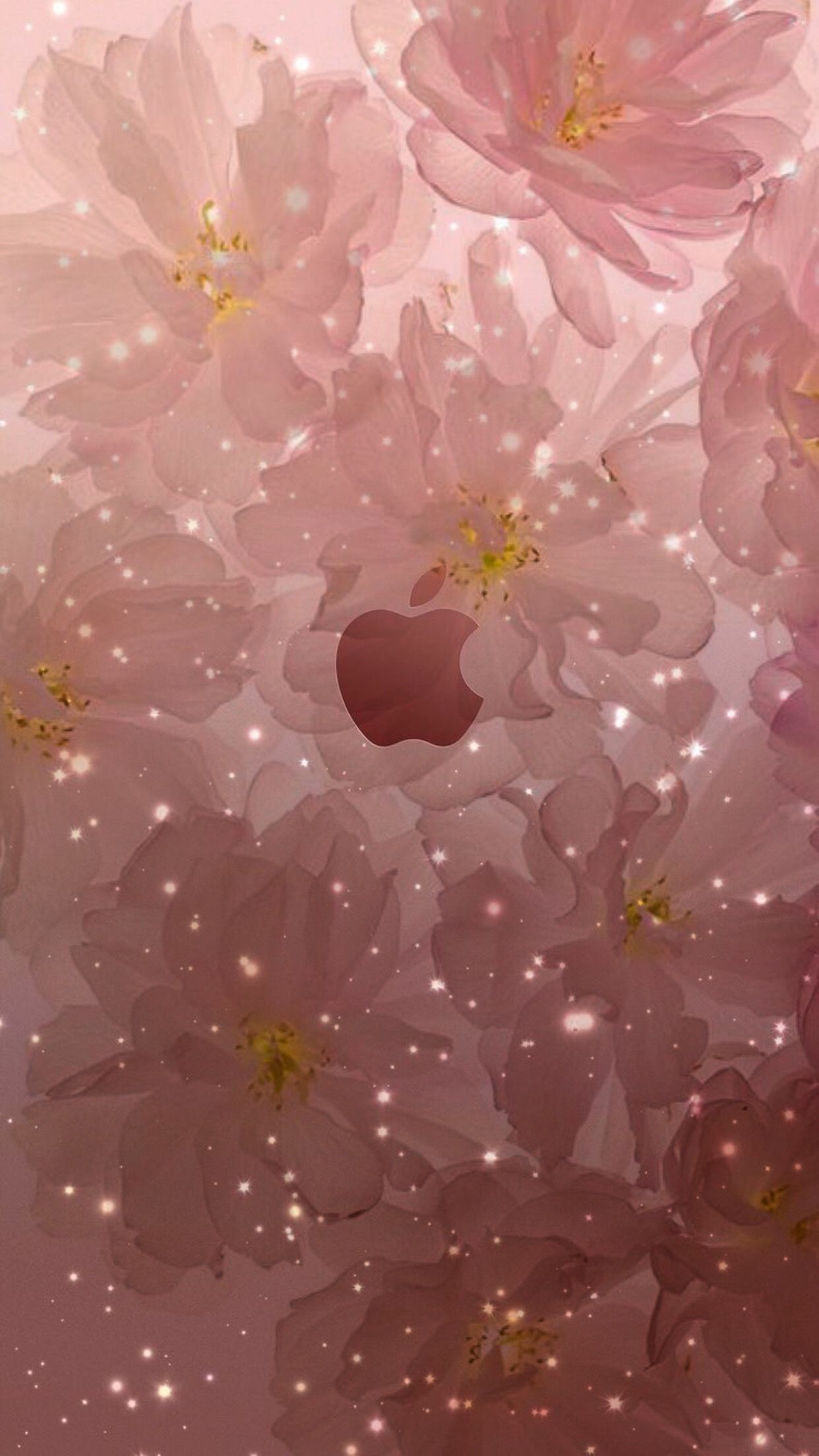 Apple Rosa Hintergrundbild 1242x2208. Wallpaper에 있는 Veromorss