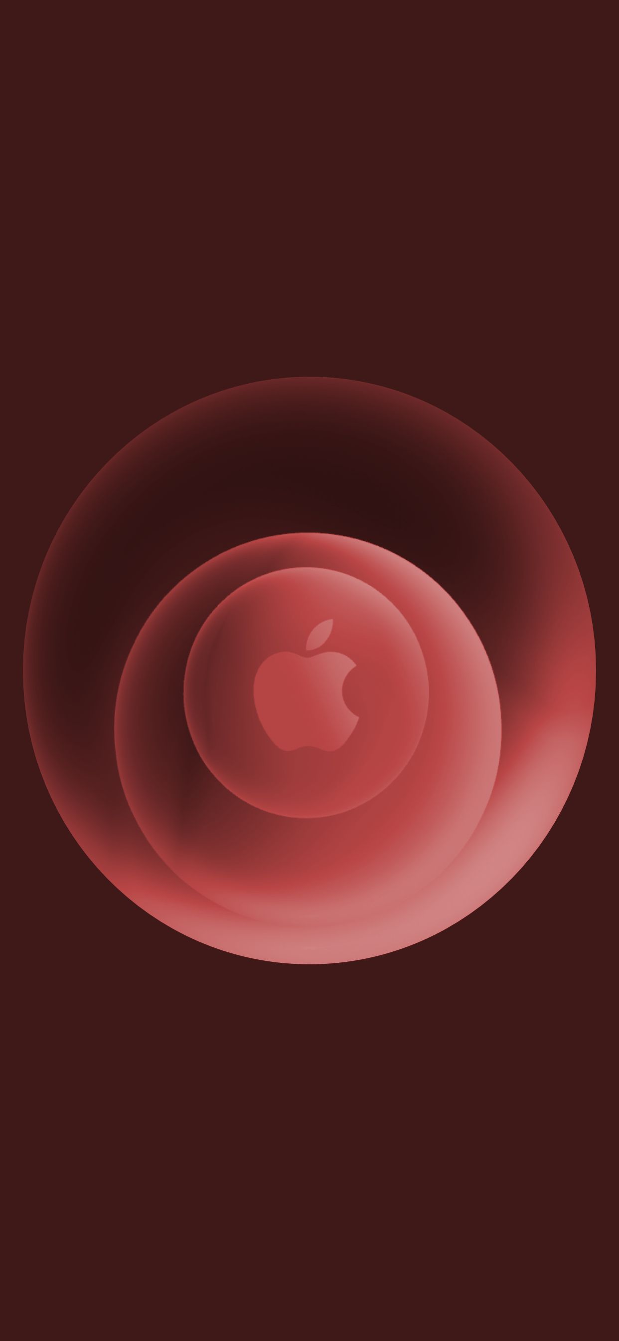 Apple Rosa Hintergrundbild 1242x2688. iPhone 12 Keynote: Wallpaper zum „Hi, Speed“-Event als Download › Macerkopf