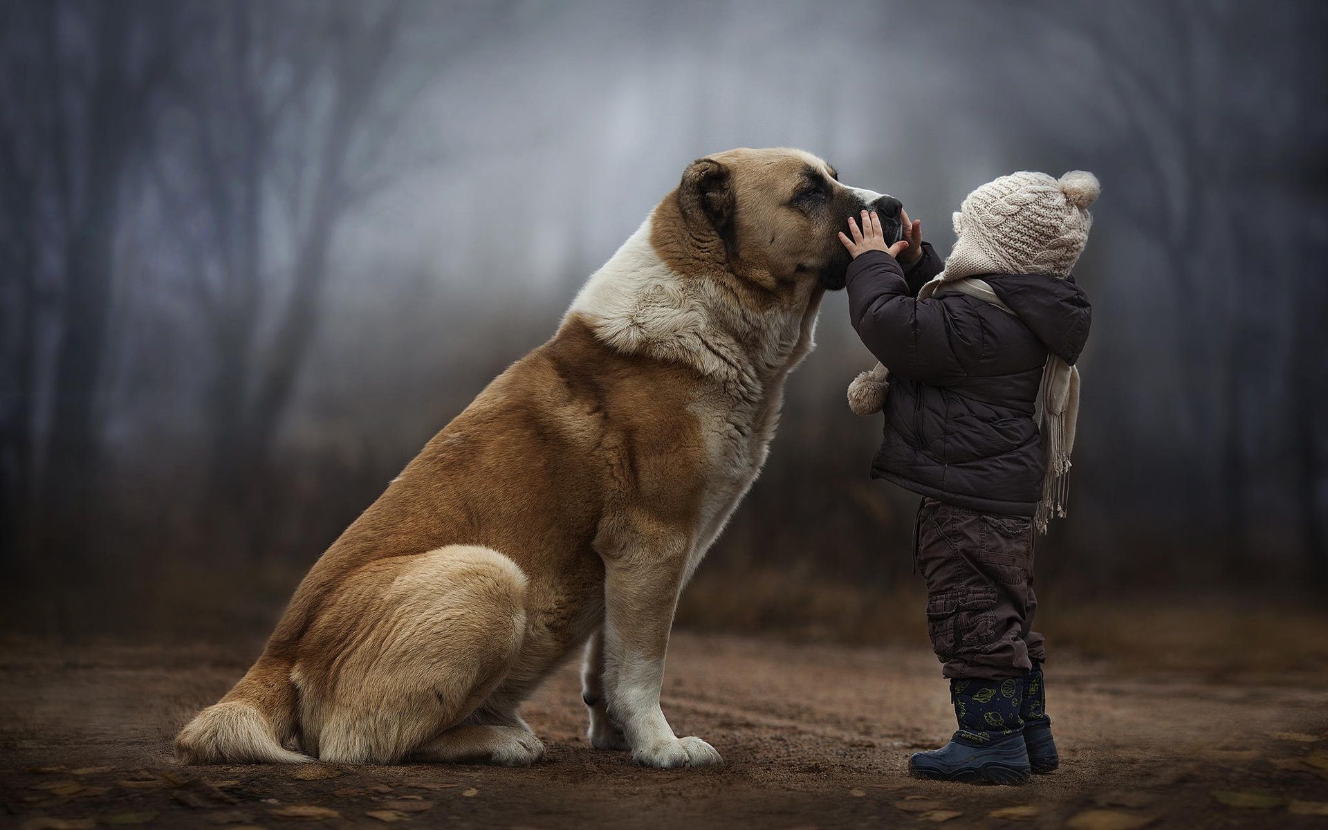  Freundschafts Hintergrundbild 1920x1200. Kind mit Hund, Freundschaft 1920x1200 HD Hintergrundbilder, HD, Bild