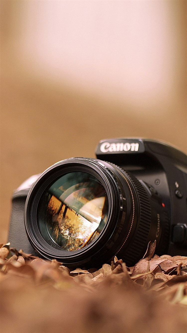  Kamera Hintergrundbild 750x1334. Canon Camera Macro Fall Leaves iPhone 8 Wallpaper Free Download