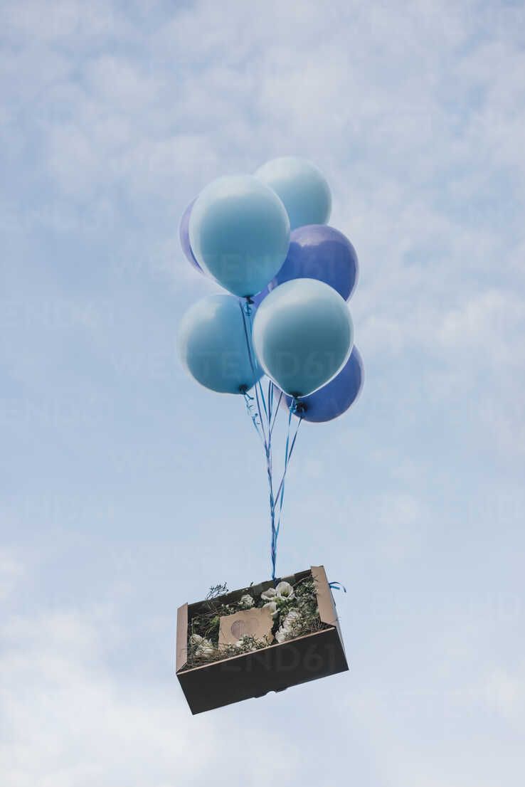  Luftballons Hintergrundbild 738x1106. Blumengeschenk in Pappkarton mit Luftballons versenden, lizenzfreies Stockfoto