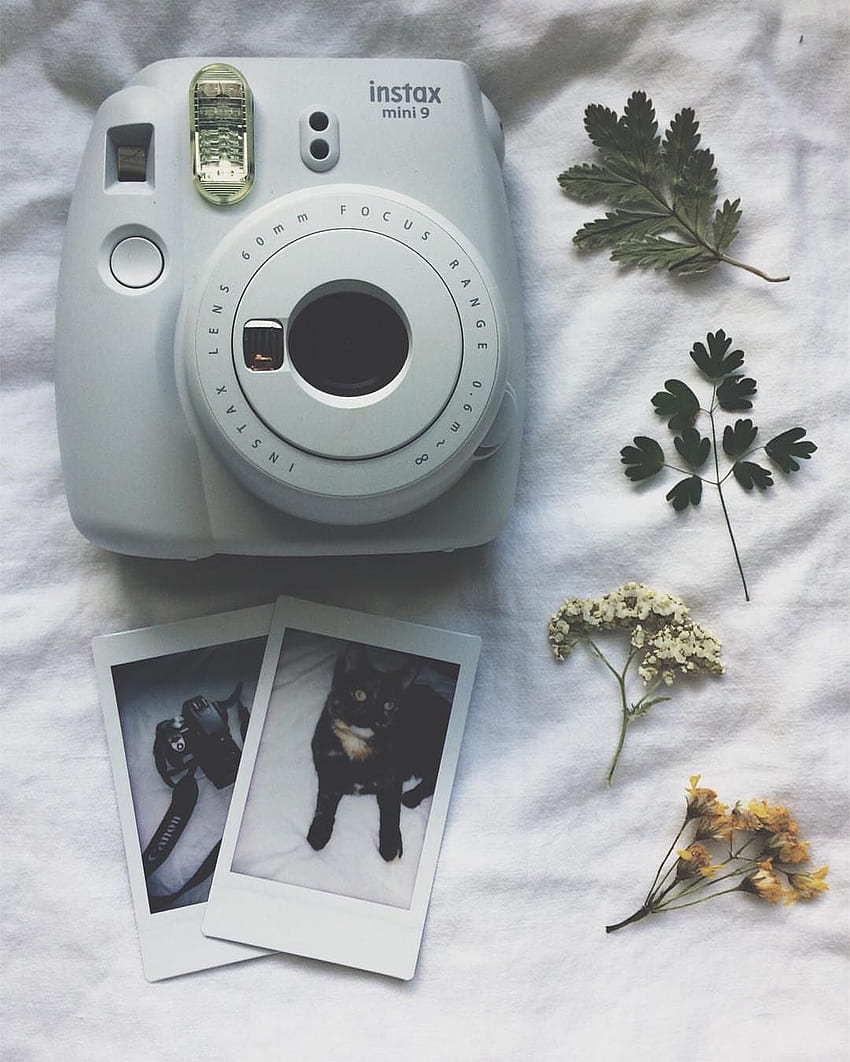  Kamera Hintergrundbild 850x1062. Aesthetic Polaroid Camera & Flowers, Polaroid Camera Tumblr HD phone wallpaper