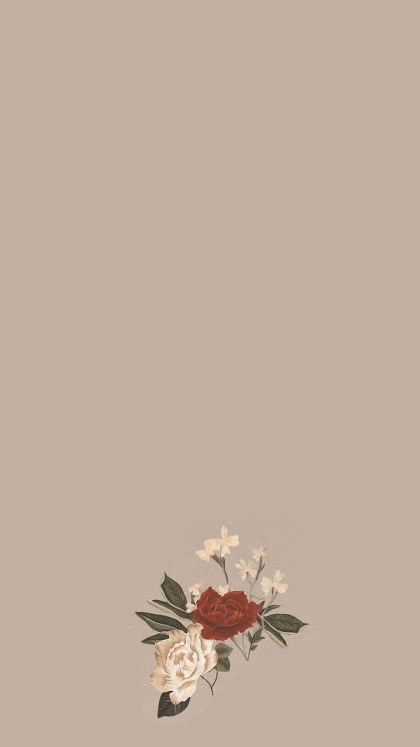  Instagram Hintergrundbild 850x1511. Aesthetic Instagram Android Background. Flower background, Instagram, Minimalist HD phone wallpaper