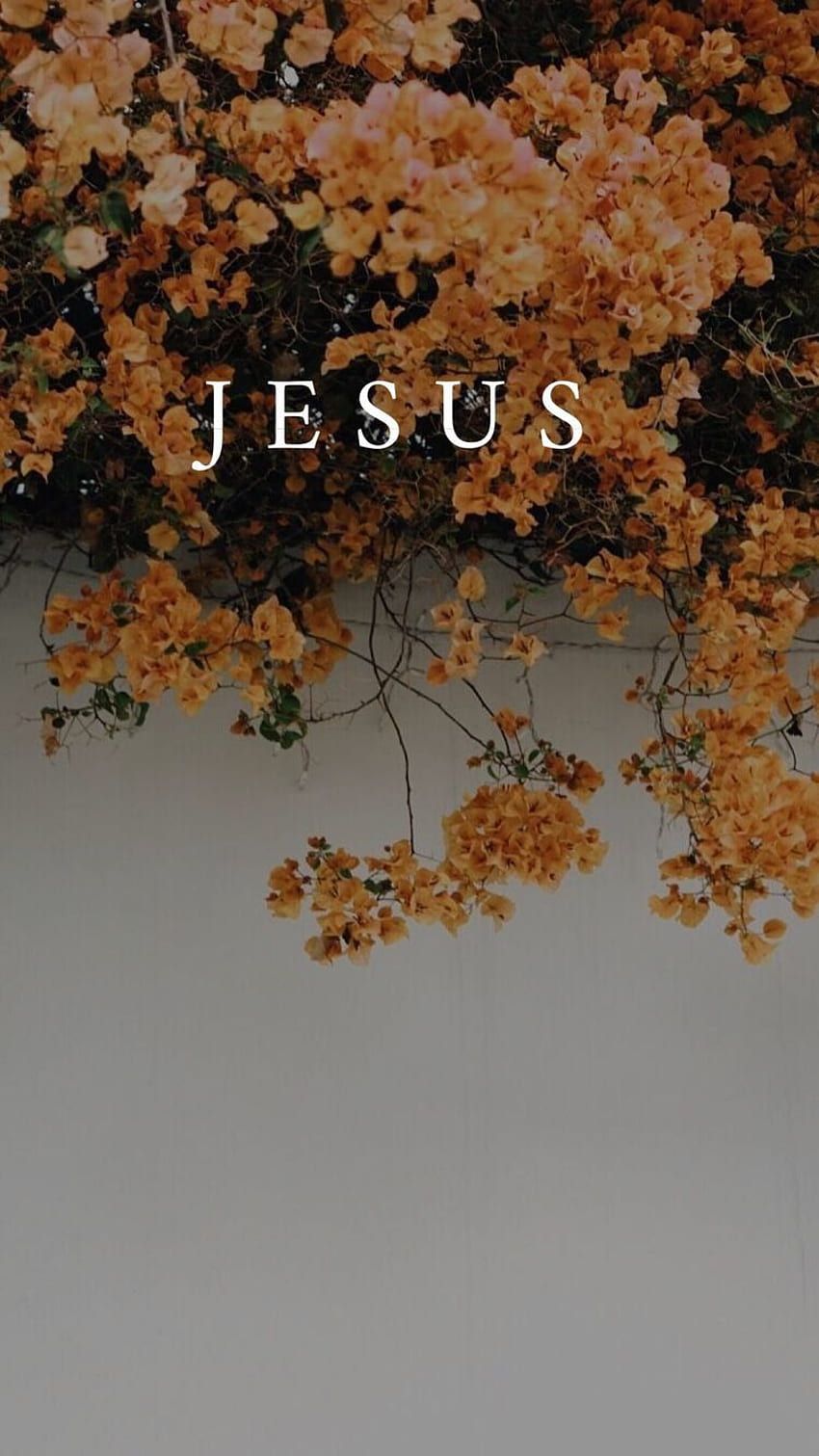  Jesus Christus Hintergrundbild 850x1511. God Jesus Aesthetic.top HD phone wallpaper