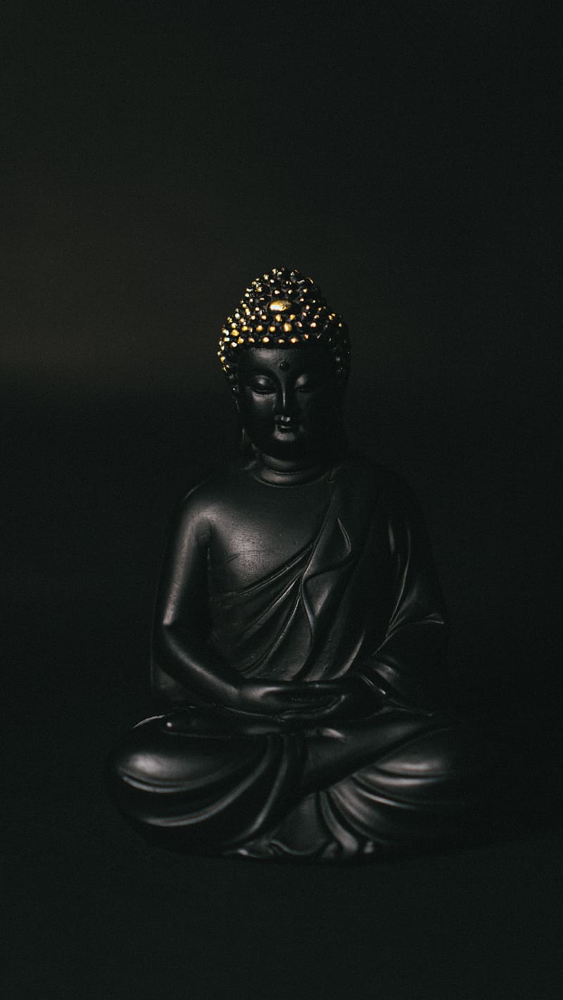  Buddhismus Hintergrundbild 800x1422. Black buddha, budda, budha, dak, dark, gautambuddha, HD phone wallpaper