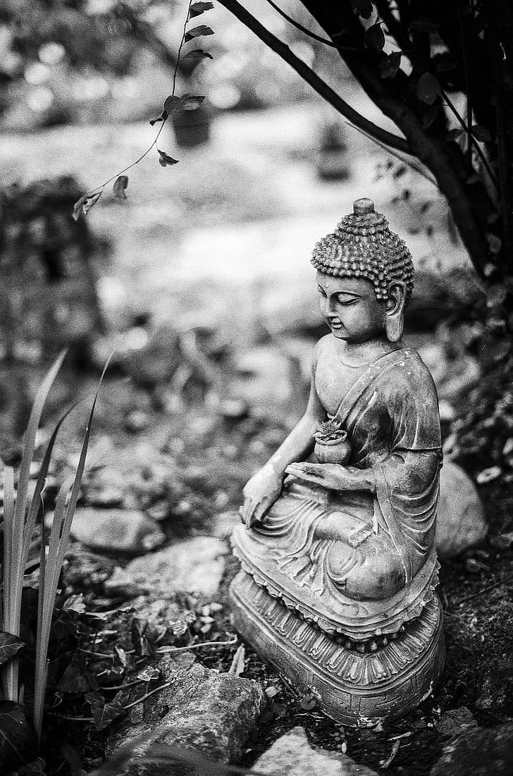  Buddhismus Hintergrundbild 728x1101. Royalty Free Photo: Gautama Buddha Figurine