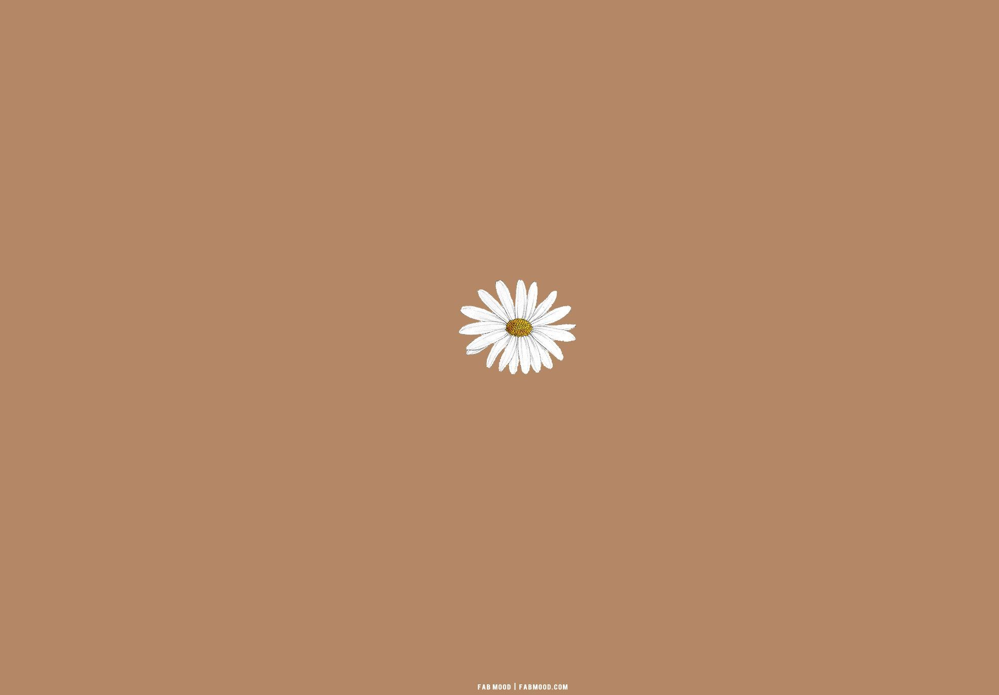  Einfach Hintergrundbild 1970x1371. Brown Aesthetic Wallpaper for Laptop : Daisy