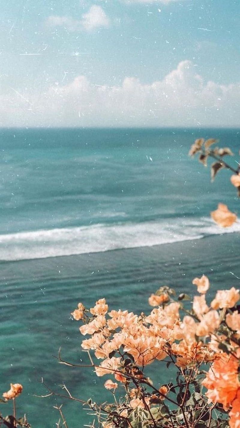  Retro Hintergrundbild 800x1423. Vintage Aesthetic, 90s, aesthetic, beach, flower, retro, sea, seaside, sunsets, HD phone wallpaper