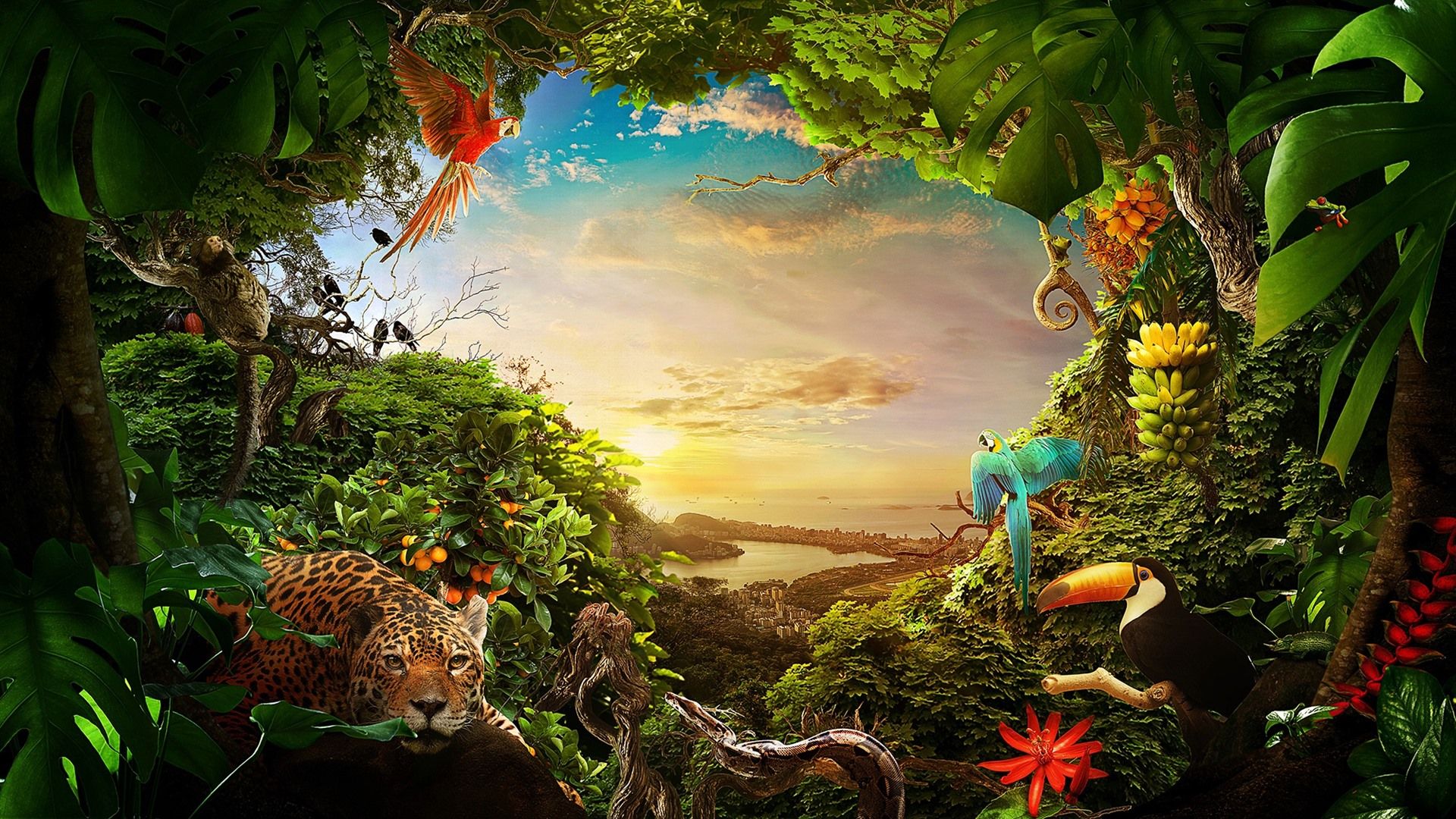 Dschungel Hintergrundbild 1920x1080. Dschungel, viele Tiere, Pflanzen, Stadt, Meer, Sonnenschein 1920x1080 Full HD 2K Hintergrundbilder, HD, Bild