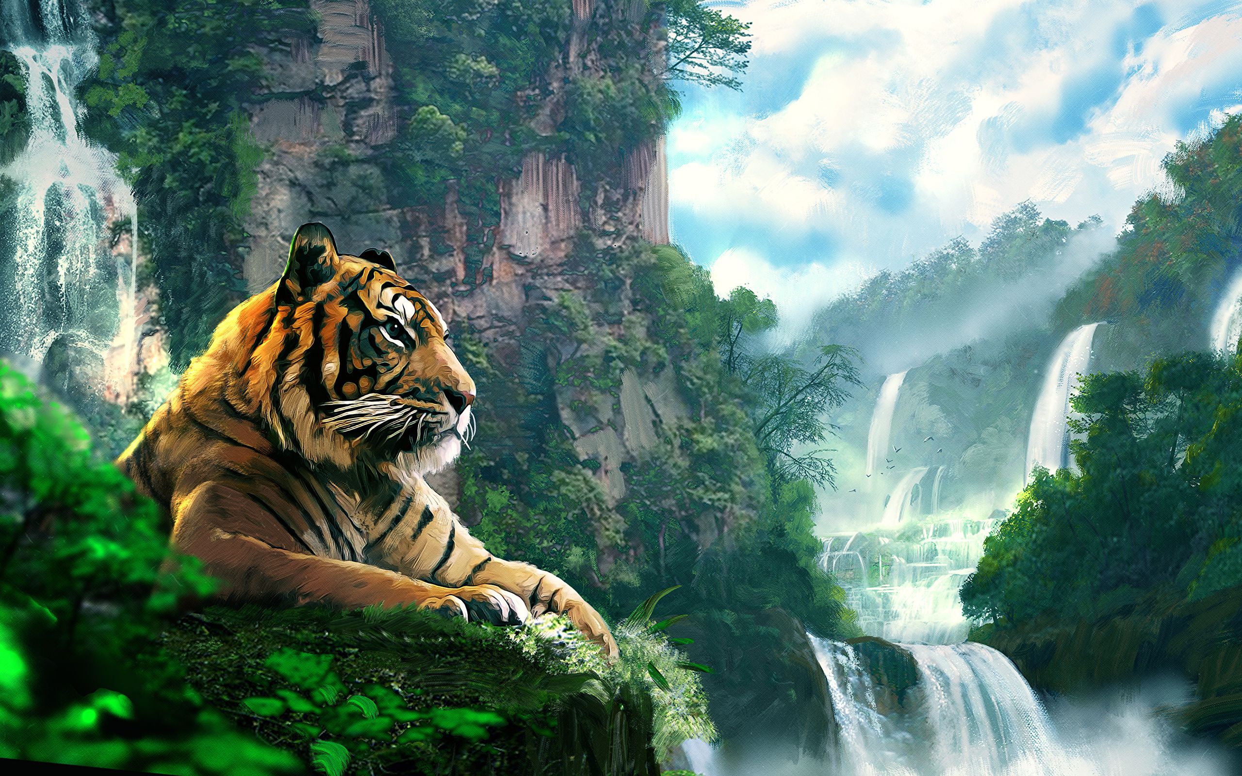 Dschungel Hintergrundbild 2560x1600. Kostenlose Hintergrundbilder Tiger, Der Tagsüber Auf Felsen in Der Nähe Von Grünen Bäumen Liegt, Bilder Für Ihren Desktop Und Fotos