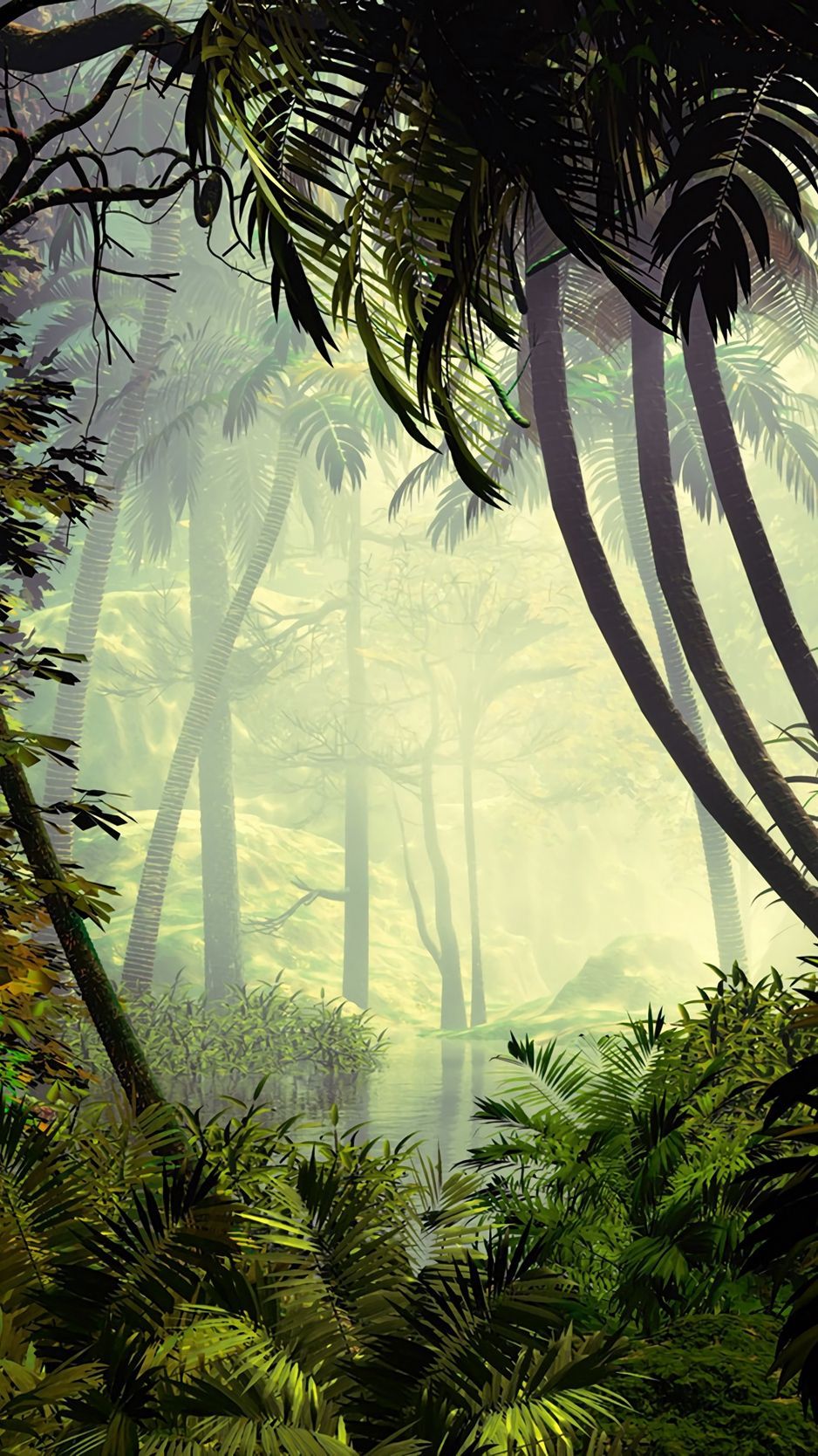 Dschungel Hintergrundbild 938x1668. Palm trees, trees, jungle, fog wallpaper. Jungle art, Jungle wallpaper, Forest wallpaper