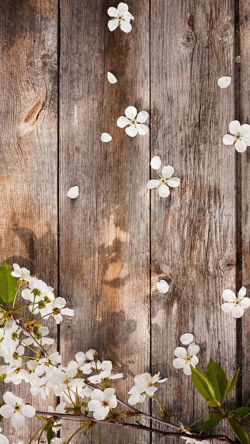  Planke Hintergrundbild 850x1511. Rustic Flowers, aesthetics spring floor HD phone wallpaper