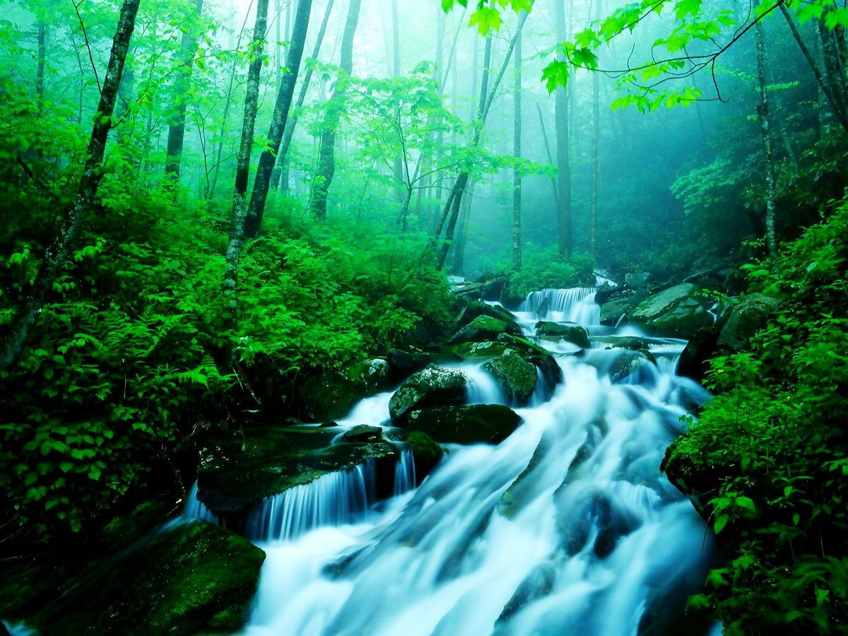 Dschungel Hintergrundbild 1200x900. Hintergrundbild Natur, Strom, Wasserfall. Beste kostenlose Wallpaper
