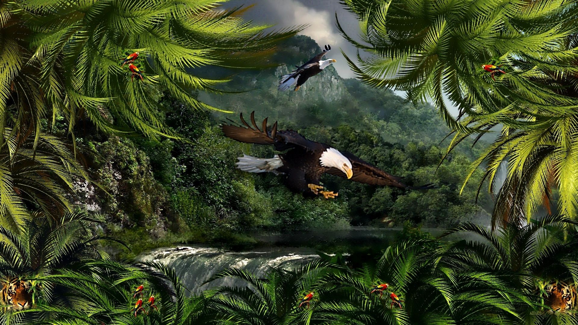 Dschungel Hintergrundbild 1920x1080. Rainforest HD Wallpaper und Hintergründe