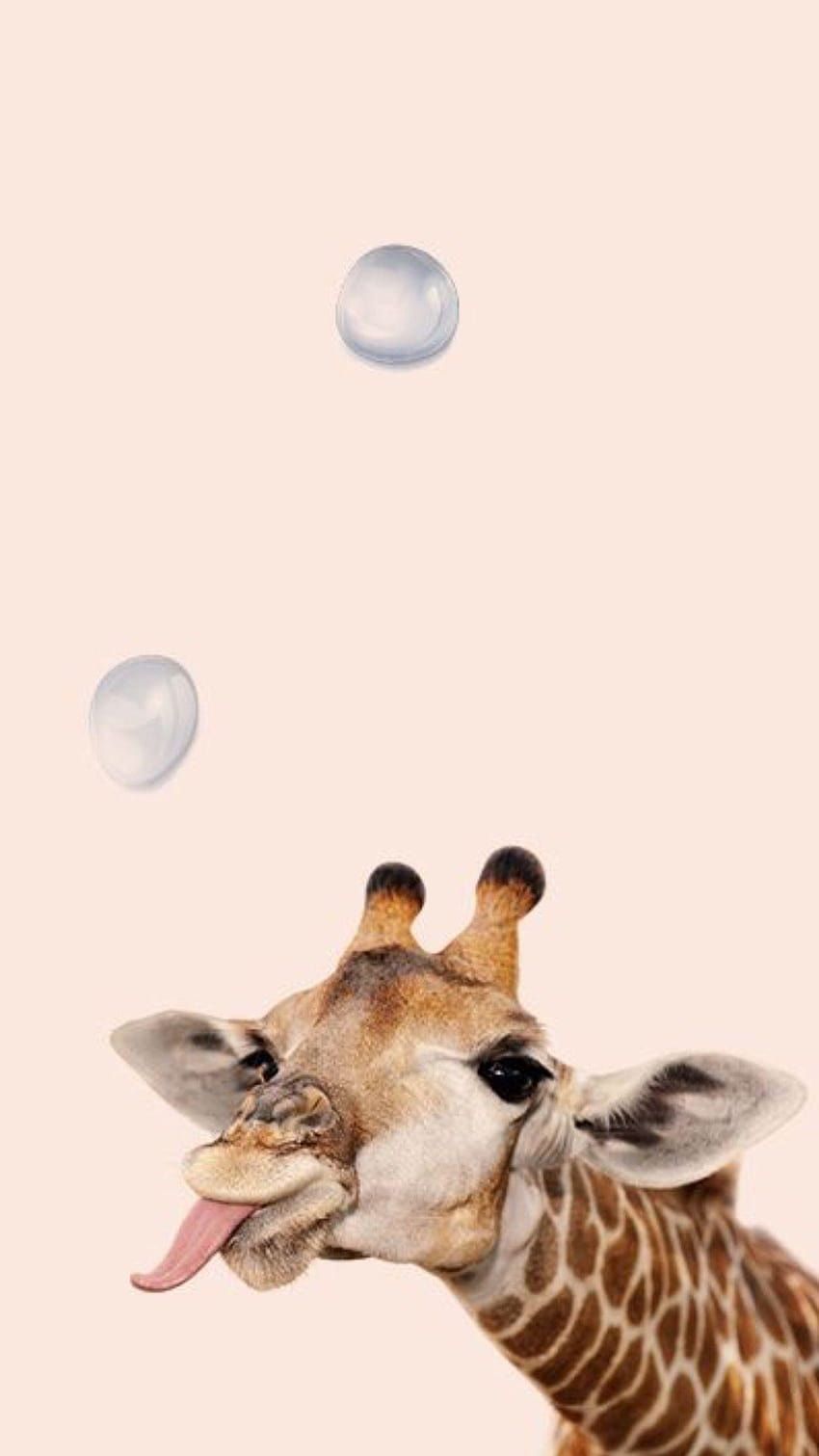  Giraffe Hintergrundbild 850x1511. Playful giraffe with bubble, aesthetic animal HD phone wallpaper