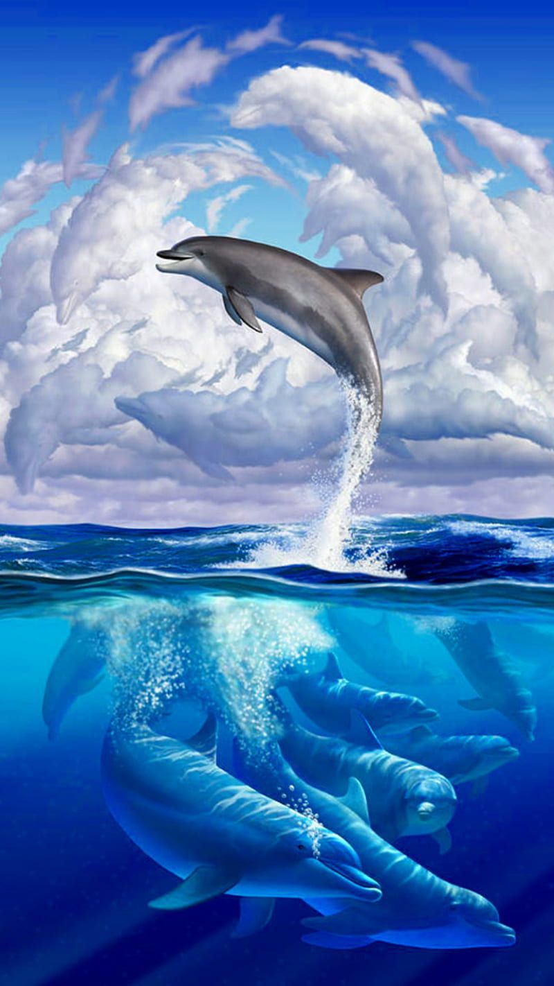  Delfin Hintergrundbild 800x1422. HD dolphins sky clouds wallpaper