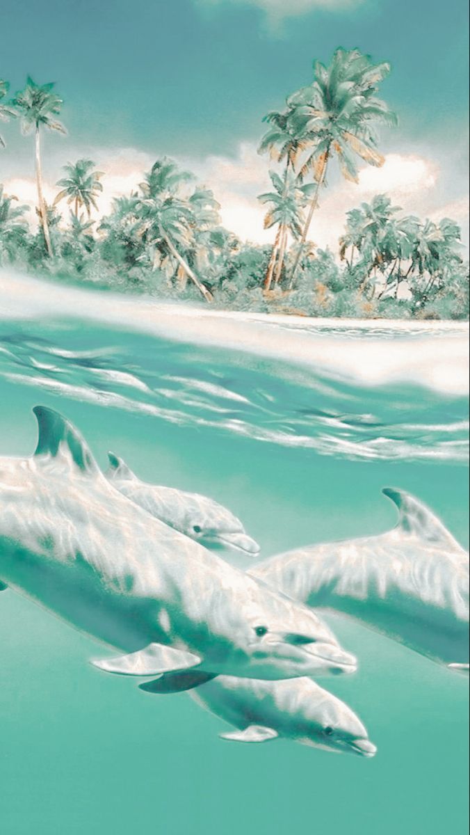  Delfin Hintergrundbild 676x1200. Summer Dolphins Wallpaper