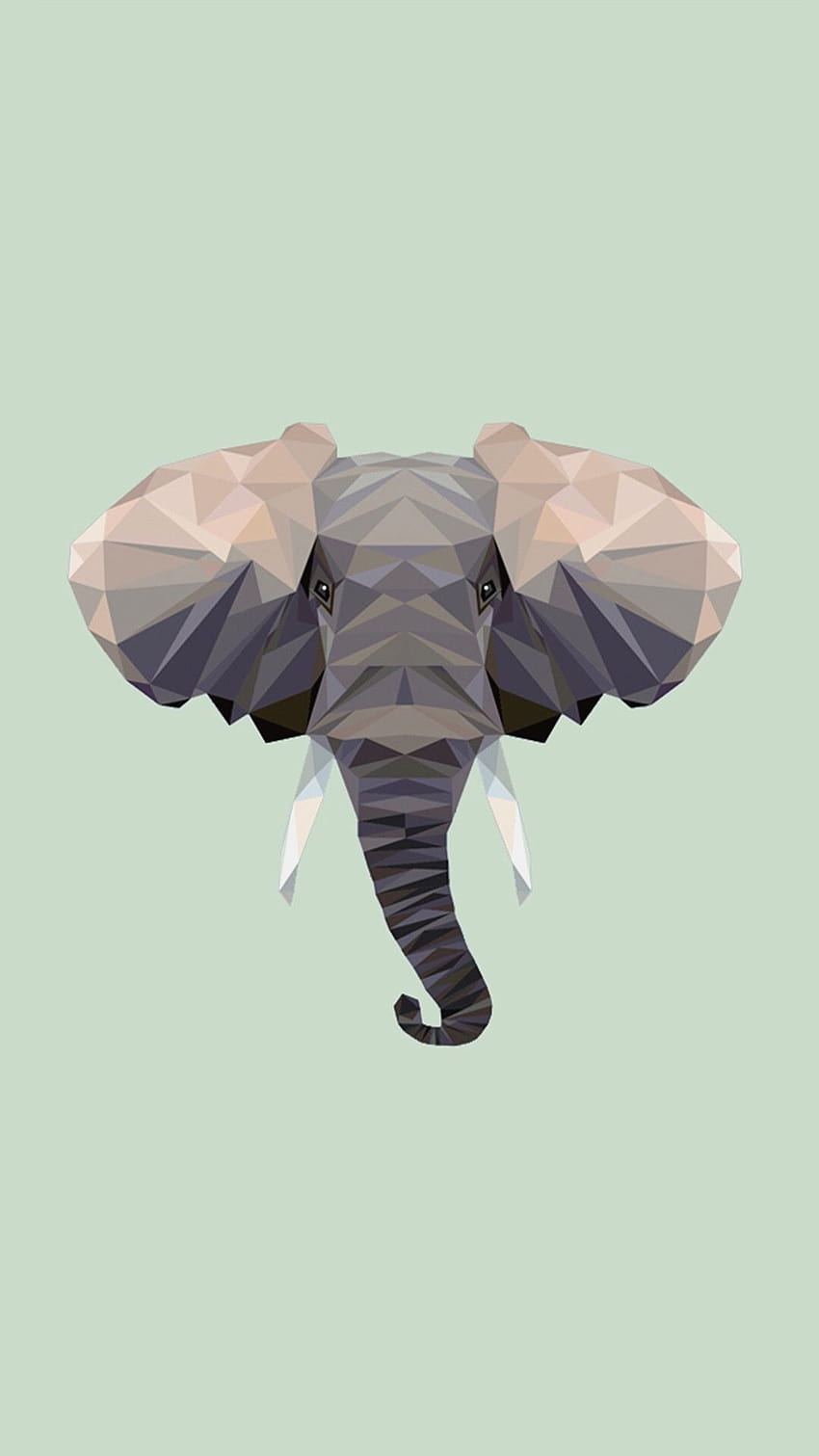  Elefant Hintergrundbild 850x1511. Elephant iPhone Background