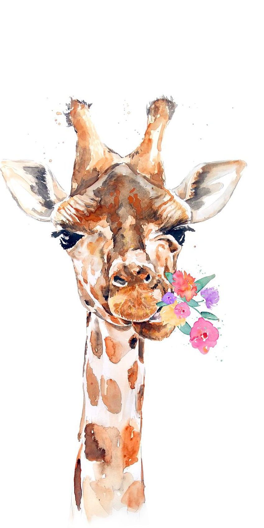  Giraffe Hintergrundbild 850x1700. Giraffe