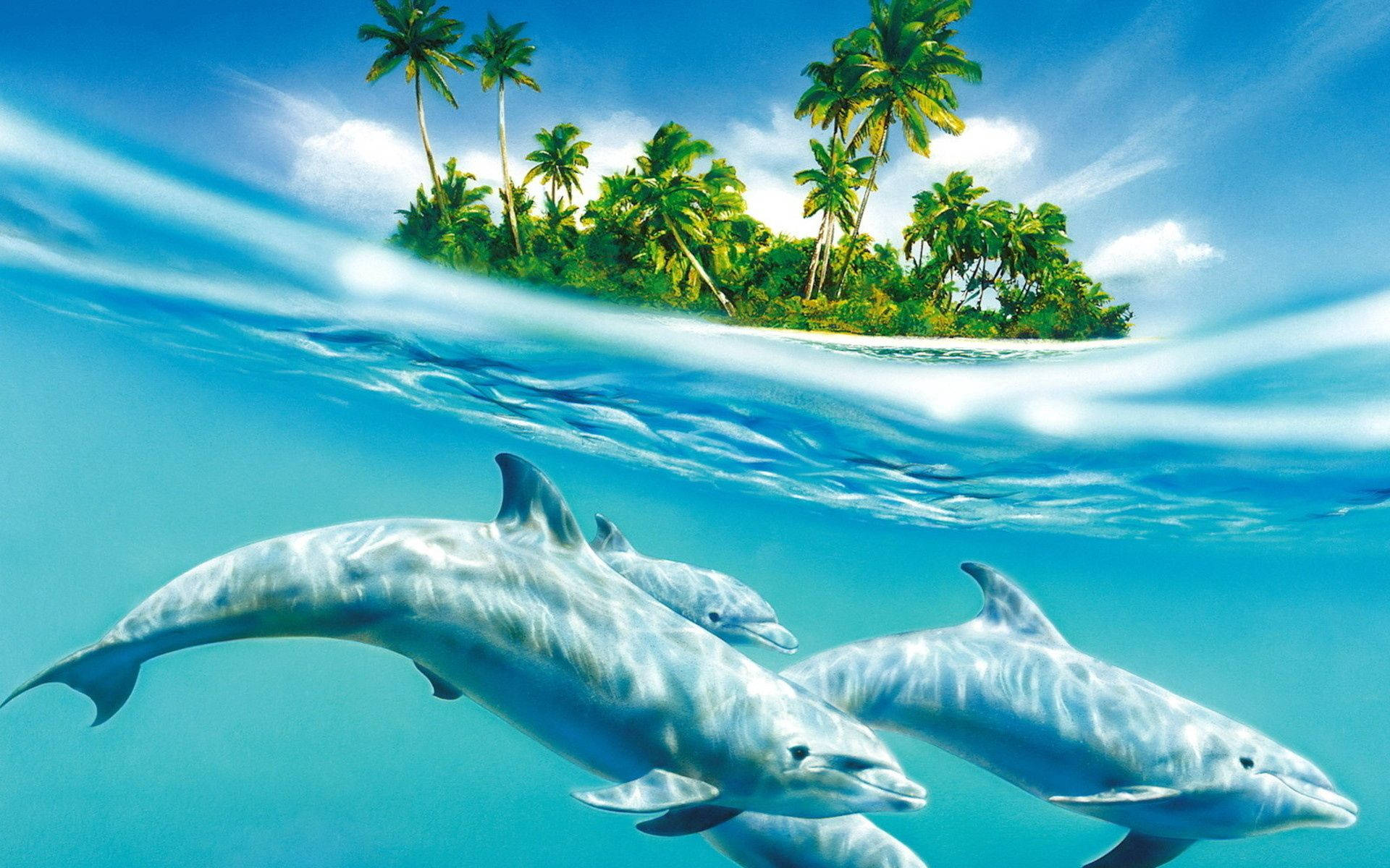  Delfine Hintergrundbild 1920x1200. Delfin Wallpaper KOSTENLOS