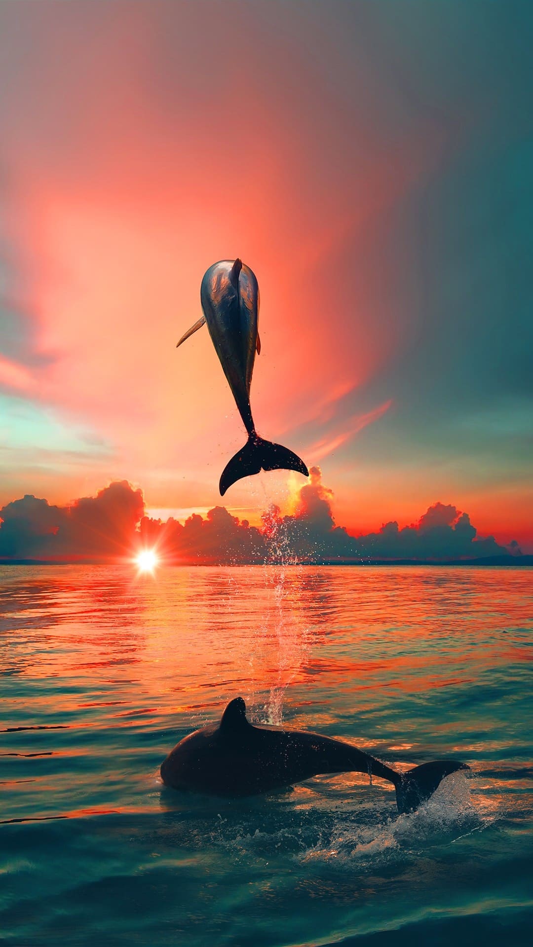 Delfin Hintergrundbild 1080x1920. Dolphin Wallpaper [ 4k + HD ]