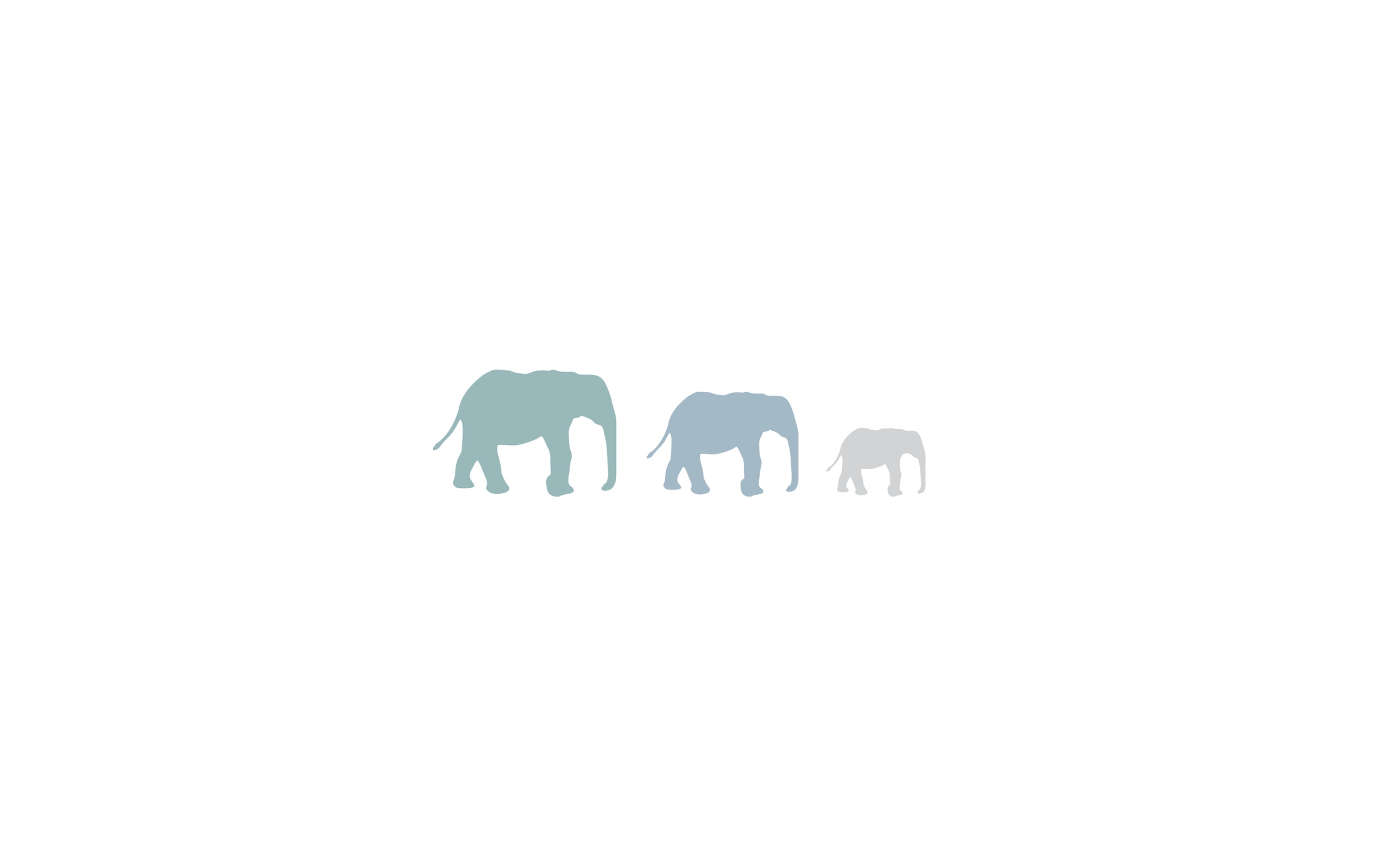  Elefant Hintergrundbild 2560x1600. Three gray and teal elephant silhouette HD wallpaper