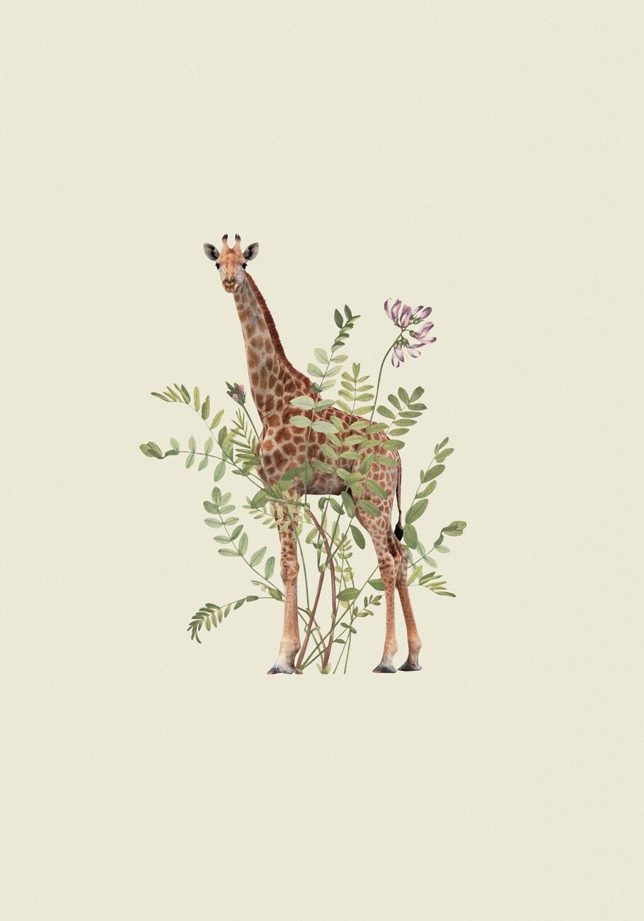  Giraffe Hintergrundbild 910x1300. Künstlerische Illustration