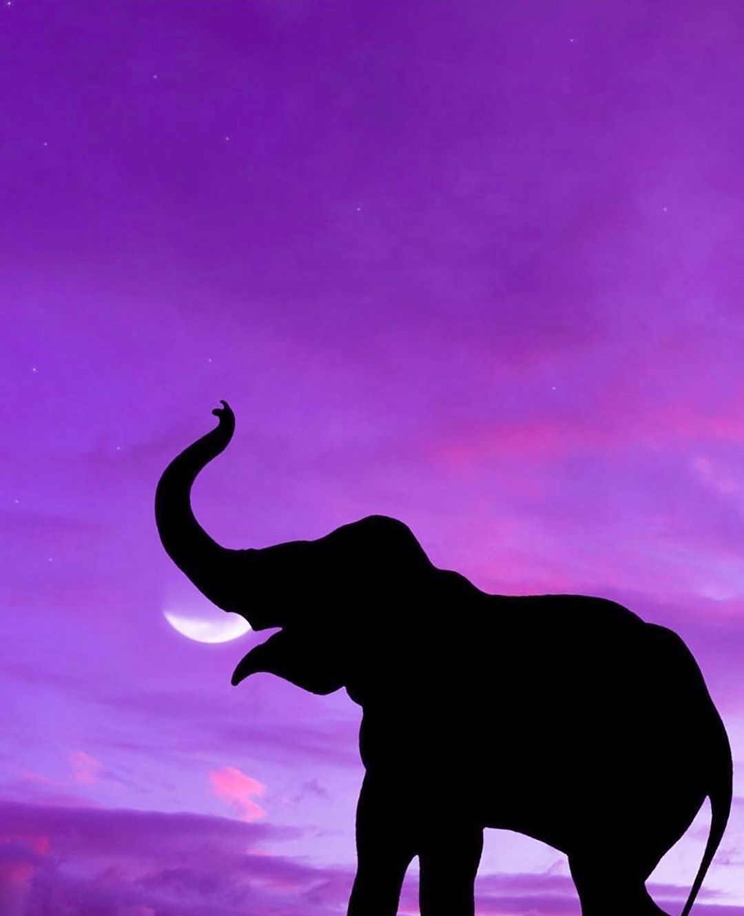  Elefant Hintergrundbild 1080x1329. lofi aesthetics. ✨ on Instagram: “