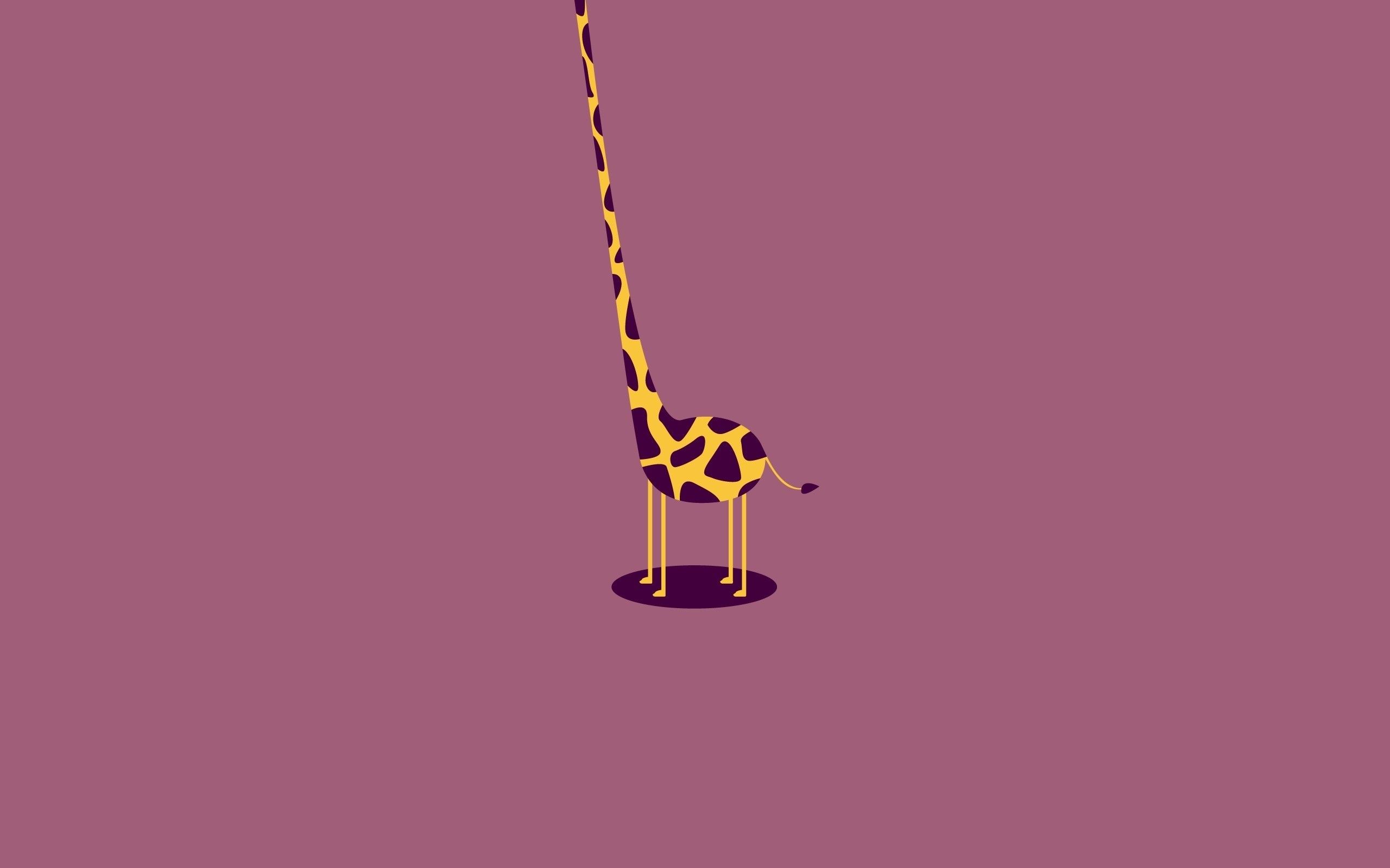  Giraffe Hintergrundbild 2560x1600. Cute Giraffe Wallpaper Free Cute Giraffe Background