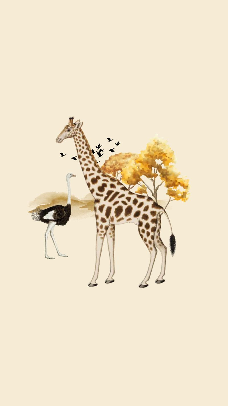  Giraffe Hintergrundbild 800x1422. Wallpaper Giraffe Image Wallpaper