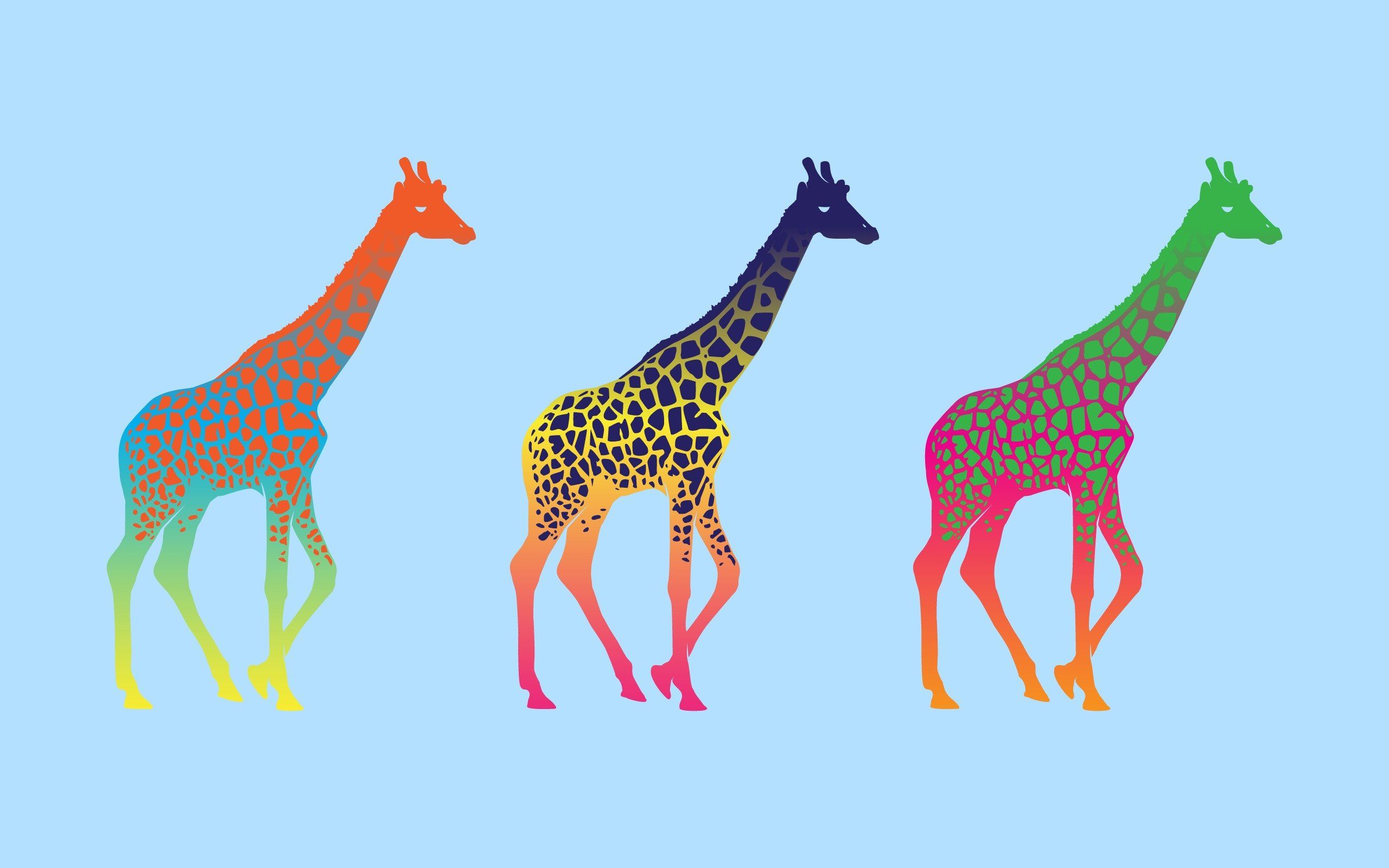  Giraffe Hintergrundbild 2560x1600. Giraffes 4K wallpaper for your desktop or mobile screen free and easy to download