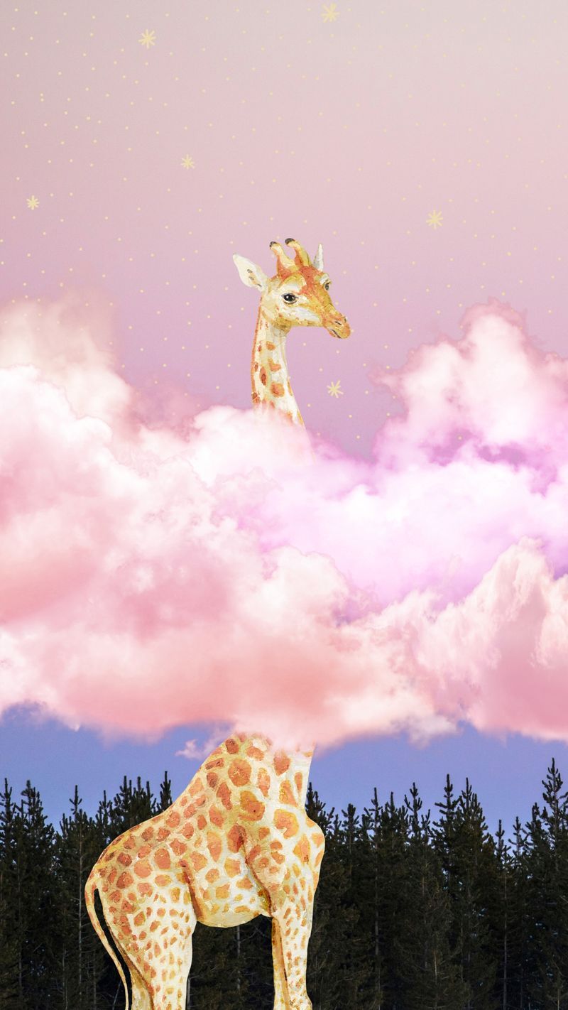  Giraffe Hintergrundbild 800x1422. Wallpaper Giraffe Image Wallpaper