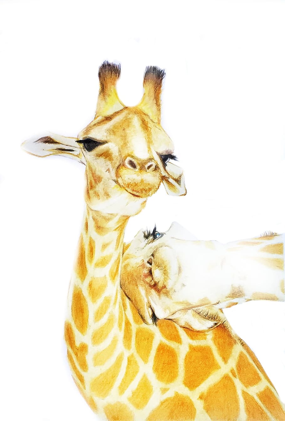  Giraffe Hintergrundbild 910x1346. HD wallpaper: Giraffe, Drawing, Animal, Cute, Cartoon, one animal, white background