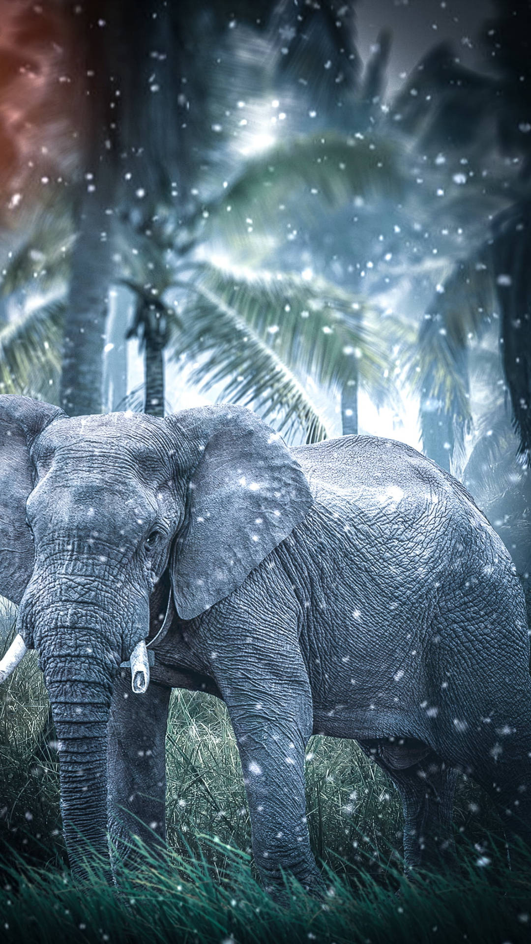  Elefant Hintergrundbild 1080x1920. Free Elephant iPhone Wallpaper Downloads, Elephant iPhone Wallpaper for FREE