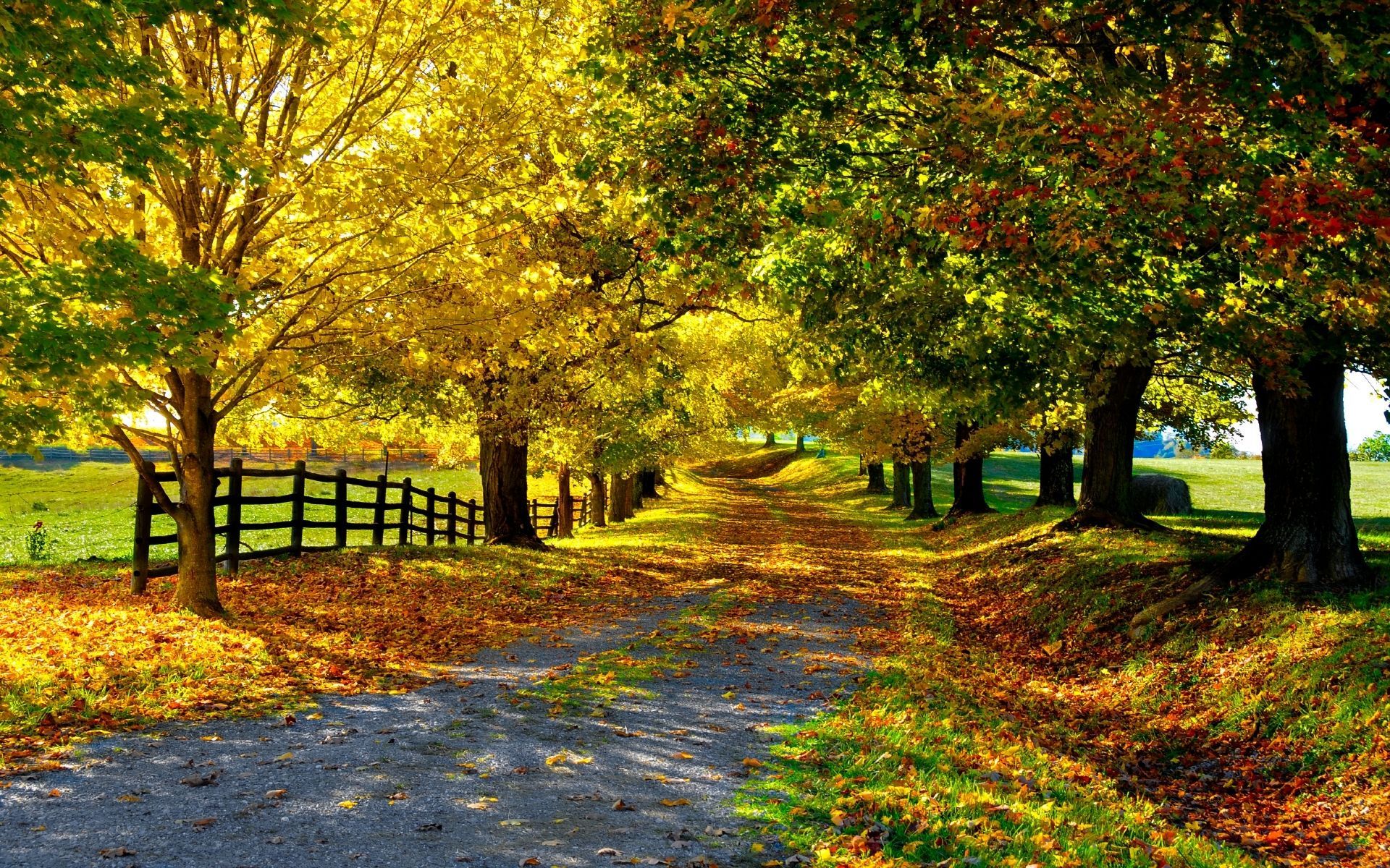 Herbst Kostenlos Hintergrundbild 1920x1200. Fall Wallpaper Free. Beautiful nature, Beautiful landscapes, Landscape