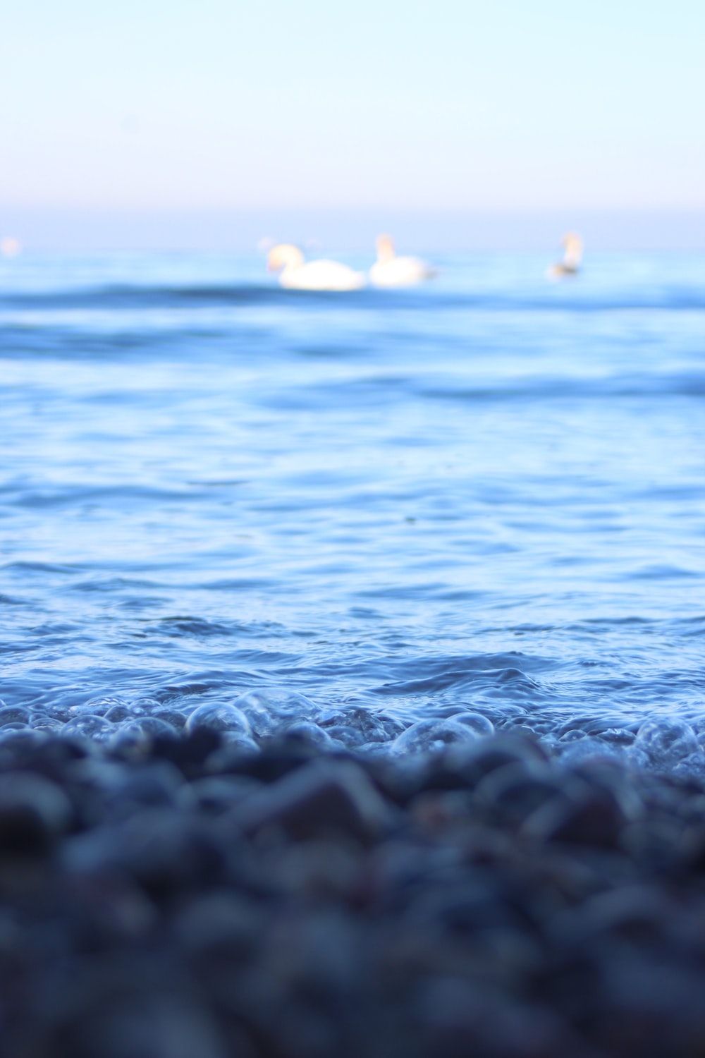  Ostsee Hintergrundbild 1000x1500. Foto zum Thema schwarze und weiße Steine auf Meerwasser tagsüber